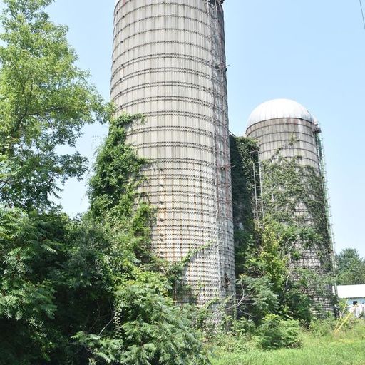 Flashing at the Bridge by Lance Olesker — YouPic