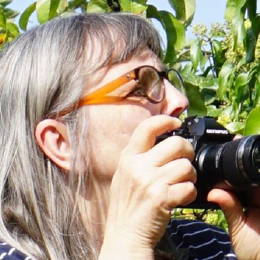 Gillian James — YouPic