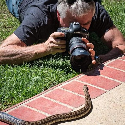 Stephen Bass — YouPic