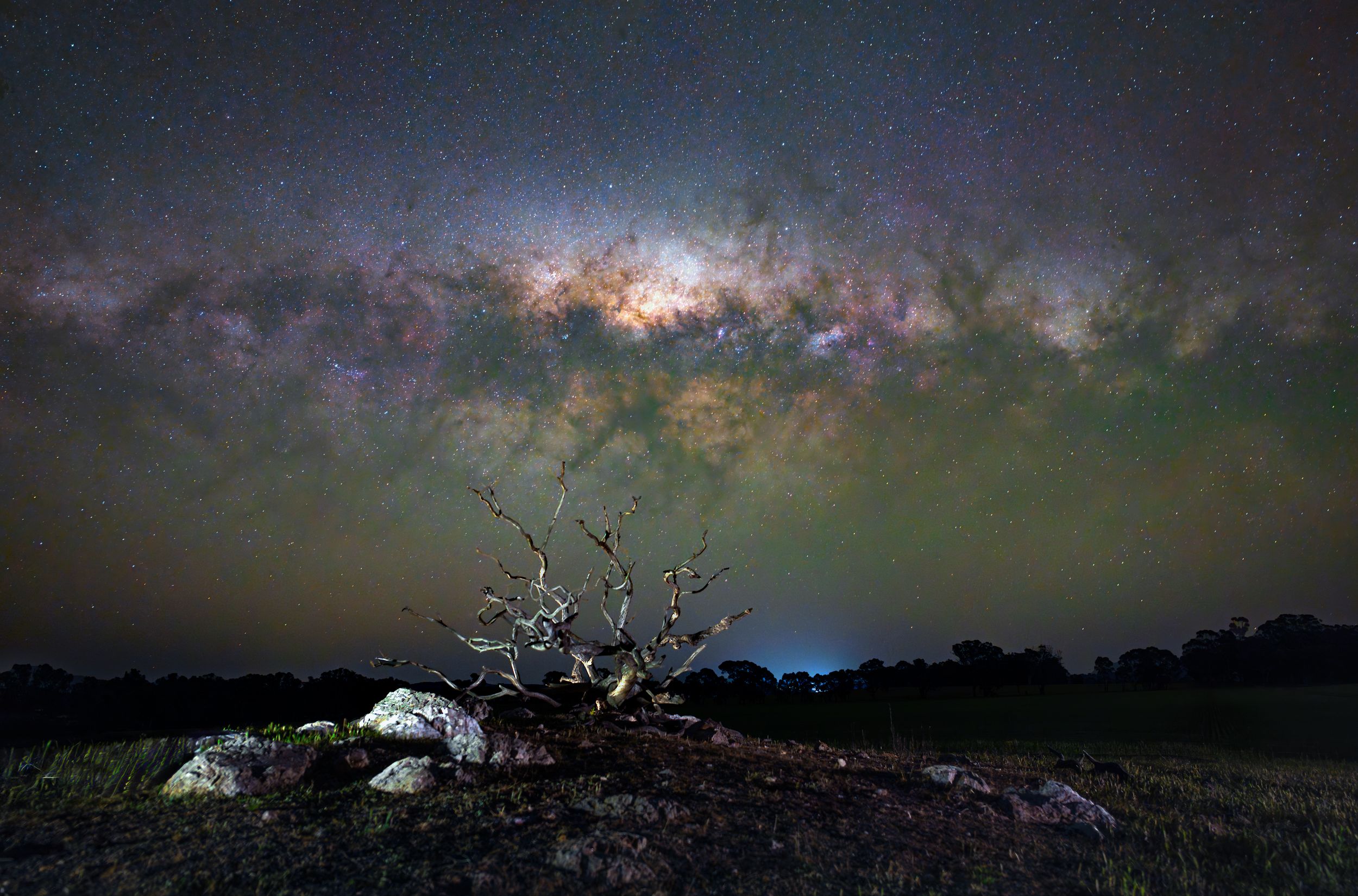 astro-tree by Steve Meier — YouPic