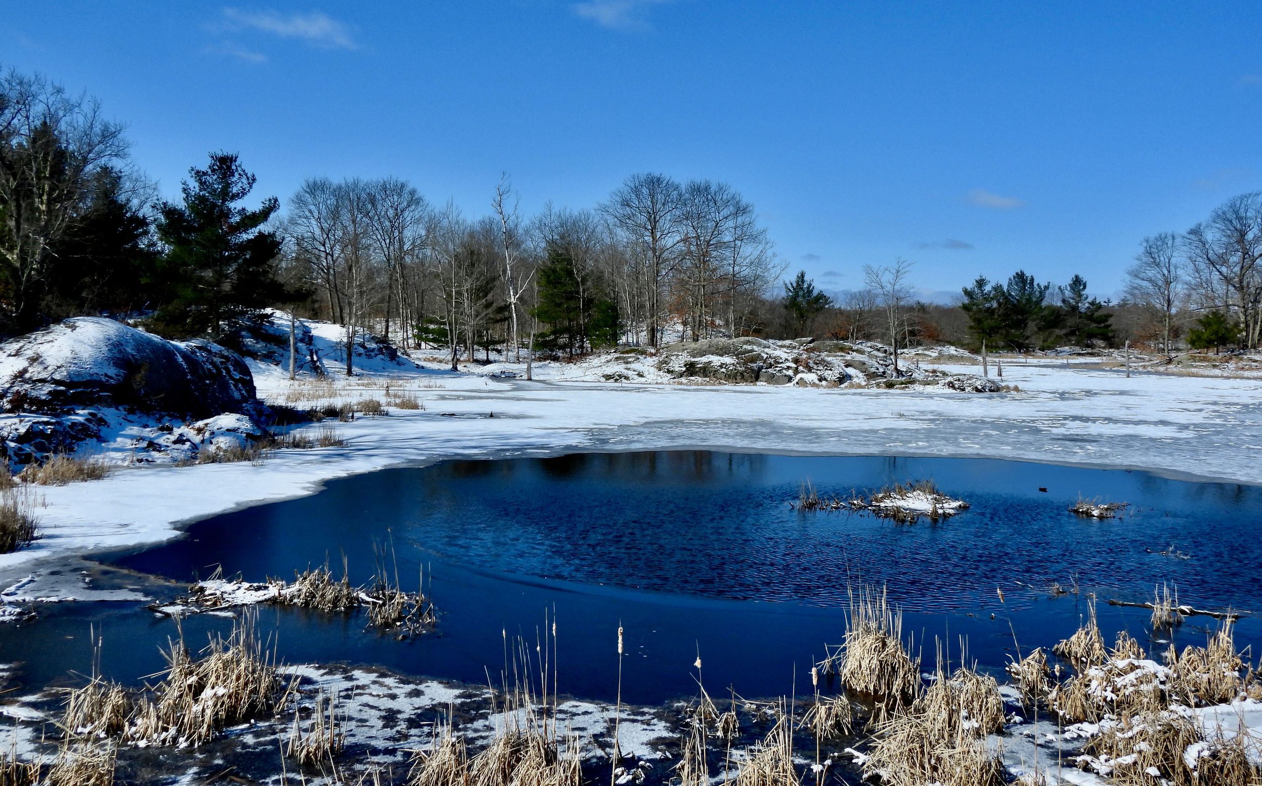 Spring Thaw by Steve Webb — YouPic
