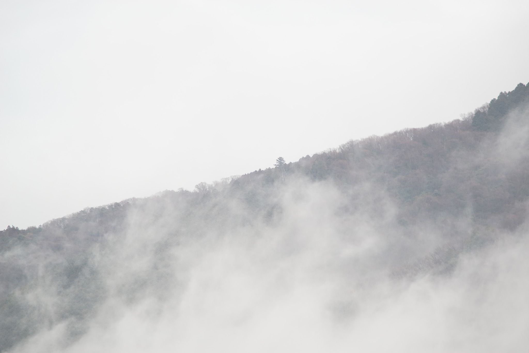 The Fog Rising 15 by masatsunen — YouPic