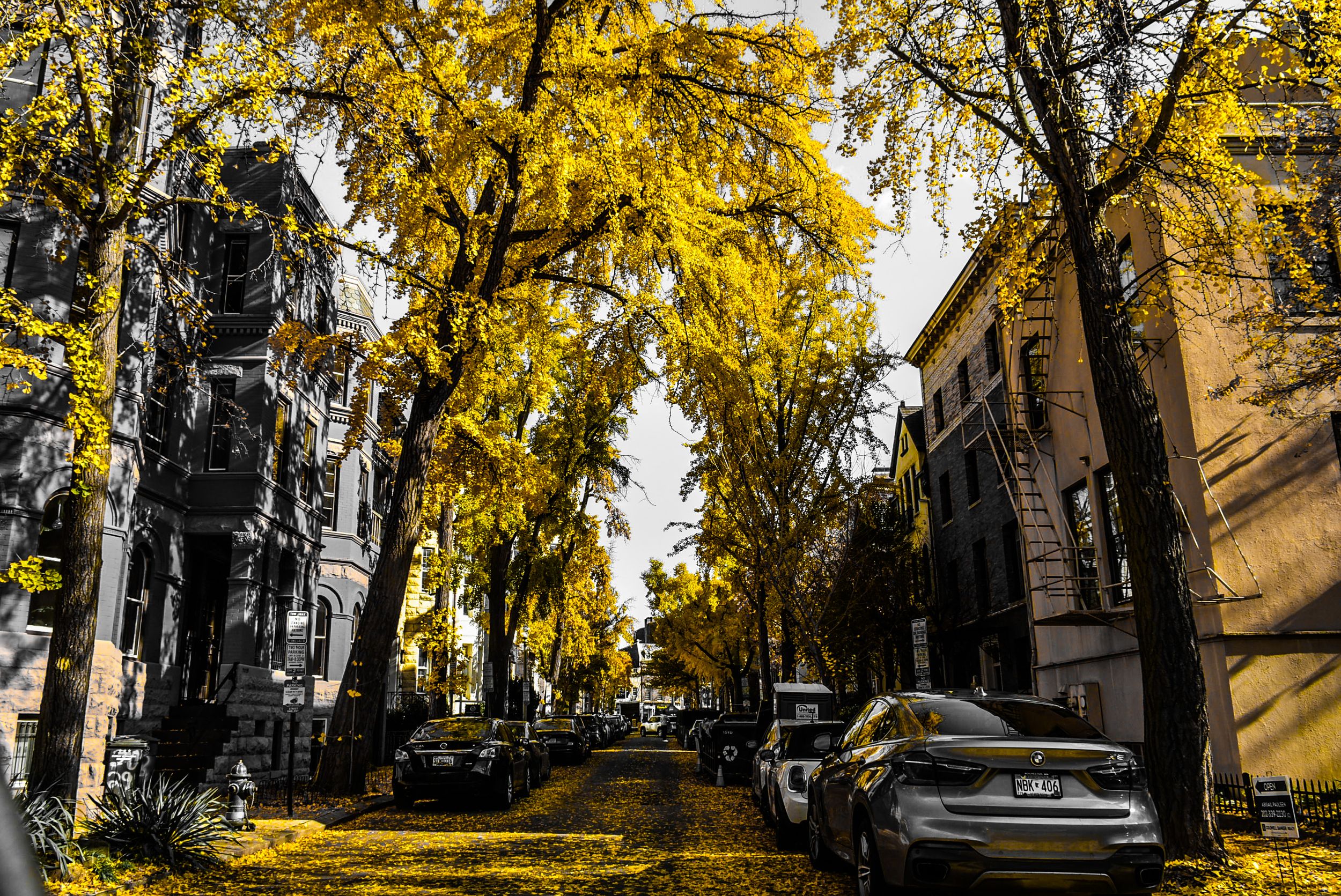 Autumn Colors by Andre E. Myrick — YouPic