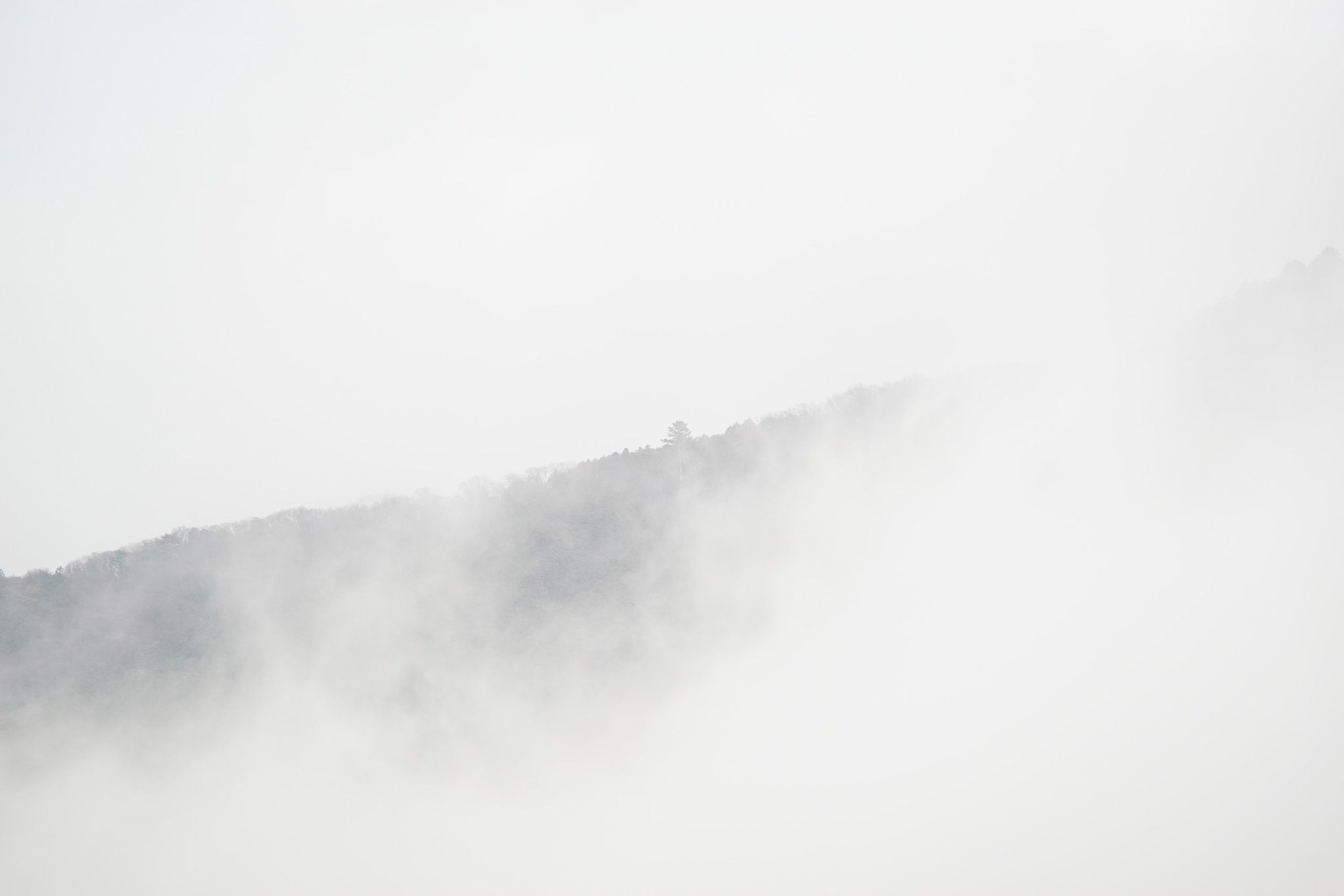 The Fog Rising 08 by masatsunen — YouPic