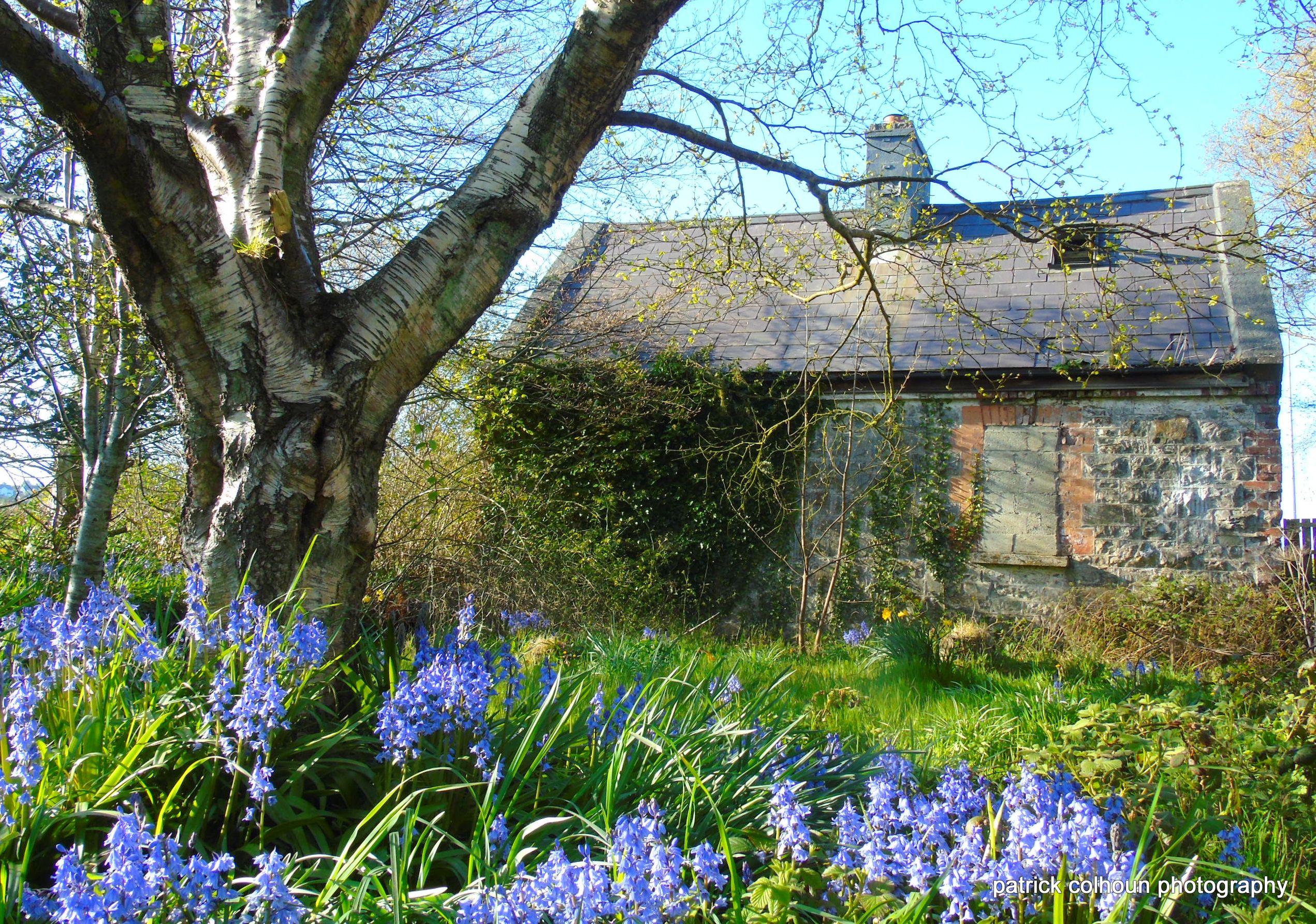abandoned house by Patrick colhoun — YouPic