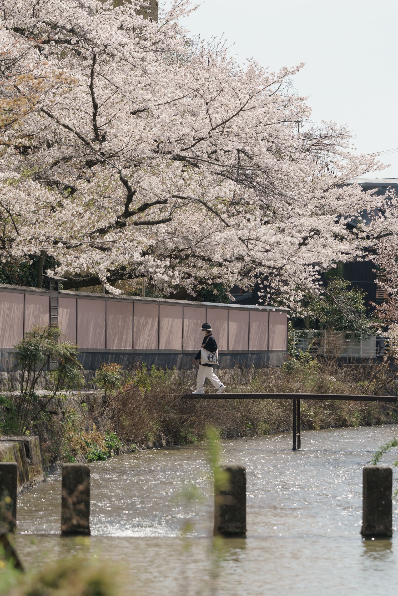 Spring Crossing by Hi-Photographe — YouPic