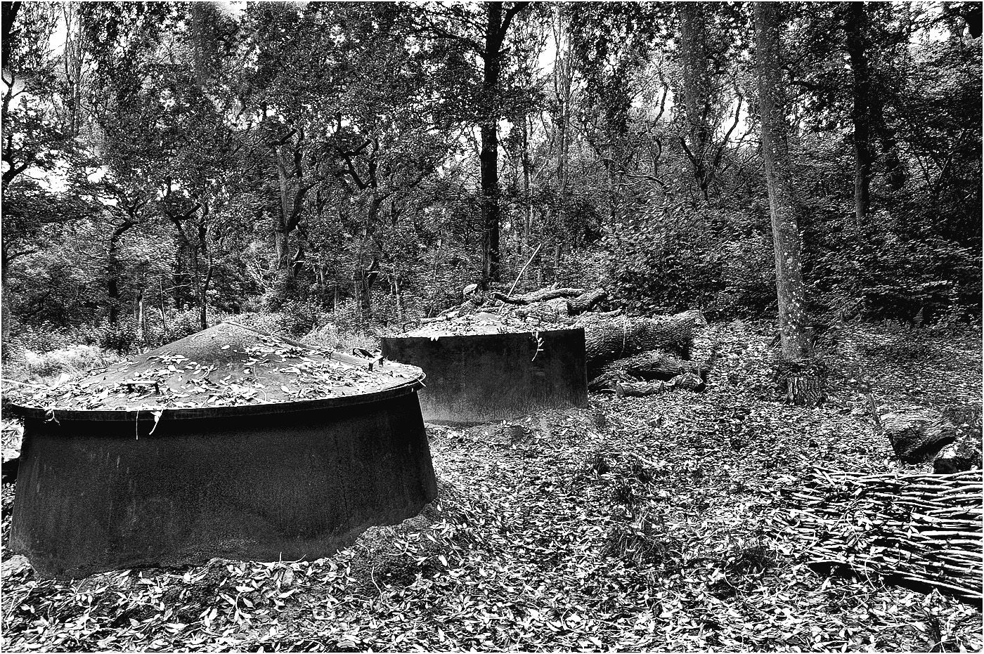 Charcoal makers by edwinphillips — YouPic