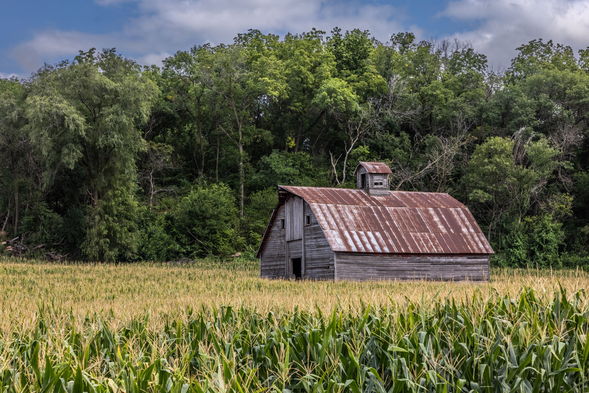 Lost in the Loess Hills by Jim Talbert — YouPic