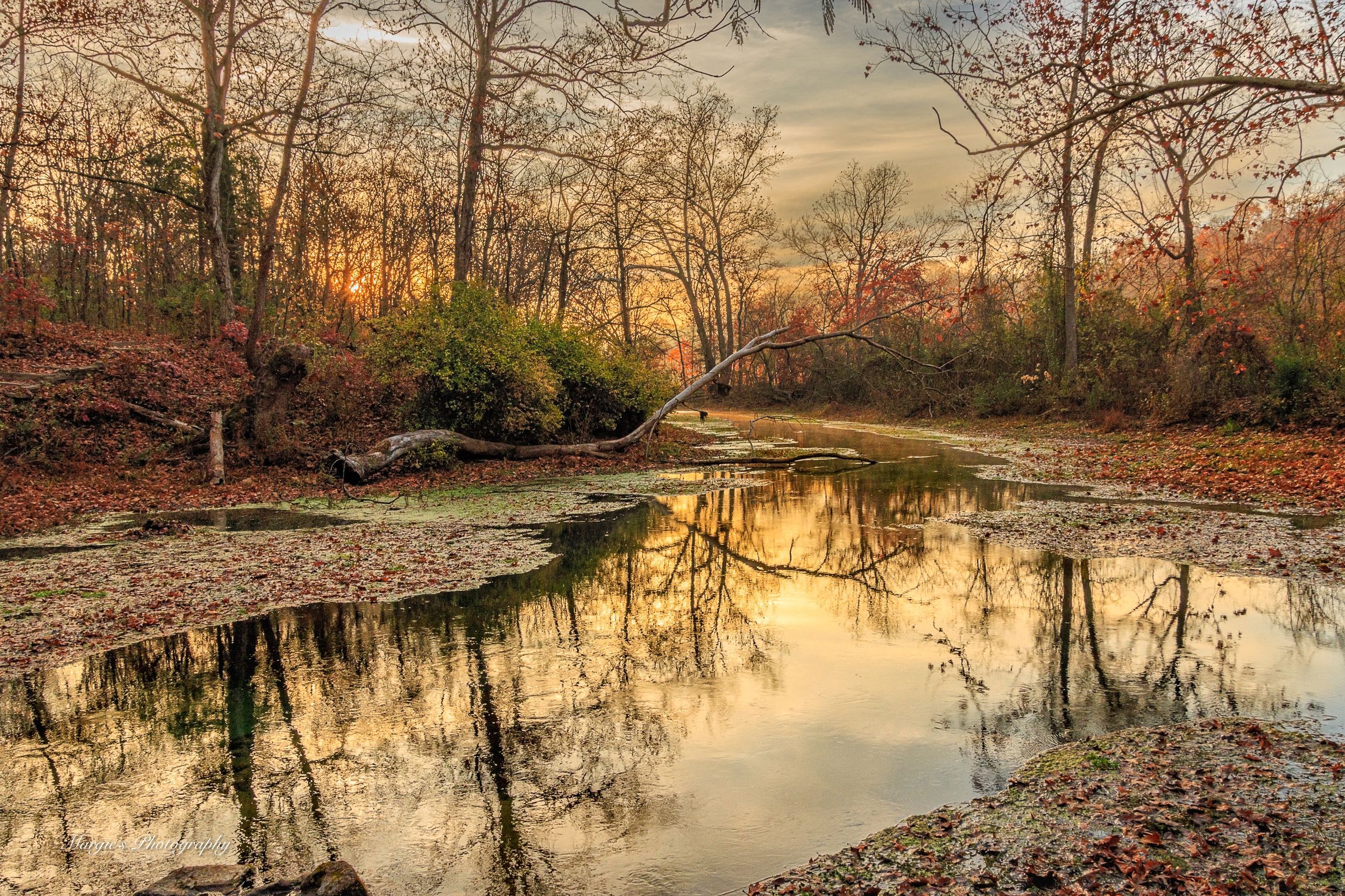 Sunrise at Boze Mill Spring by Margie Troyer — YouPic