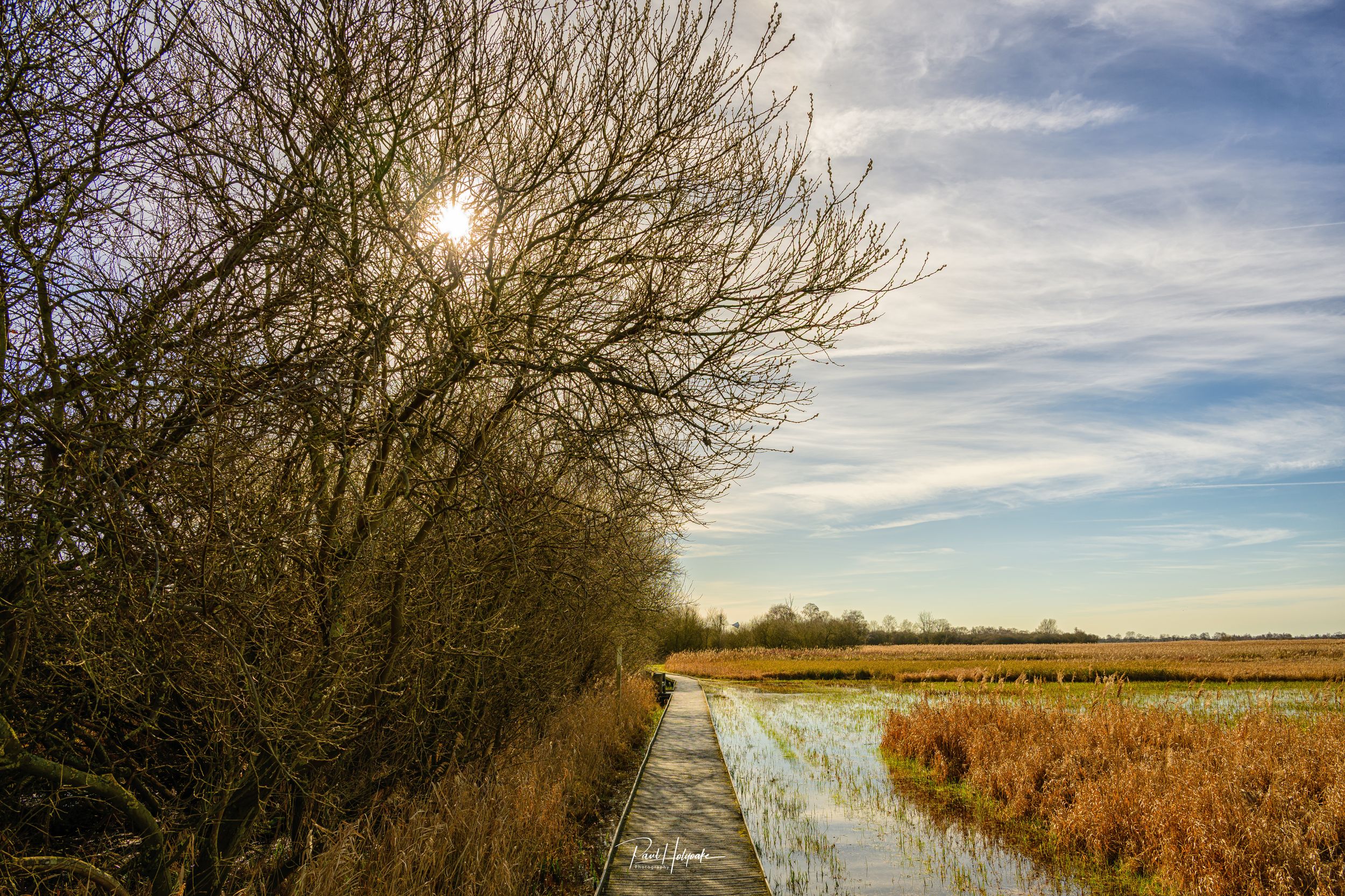 Spring Afternoon by Photon — YouPic