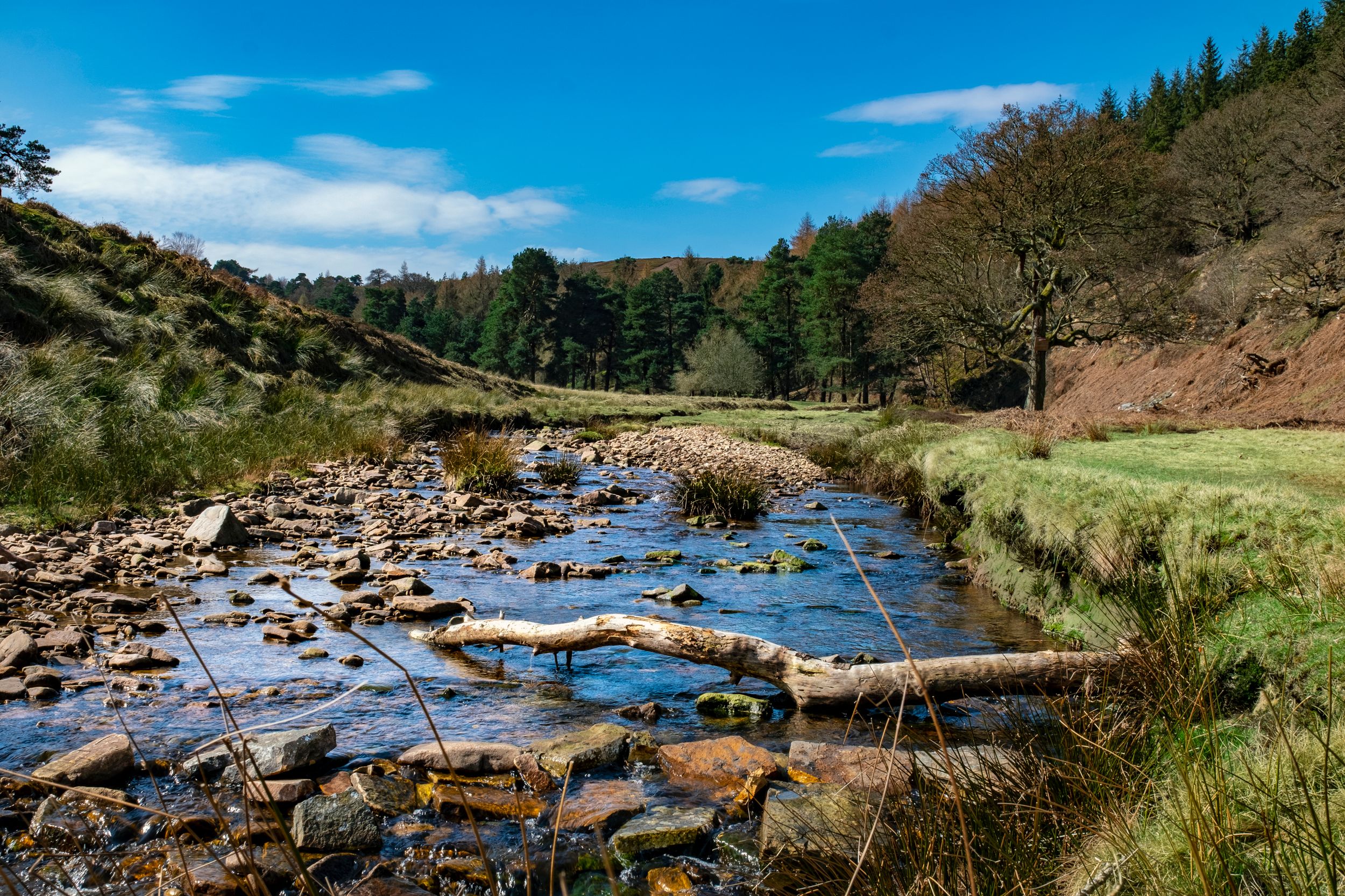 River, Langsett Reservoir by Michael Wattam — YouPic