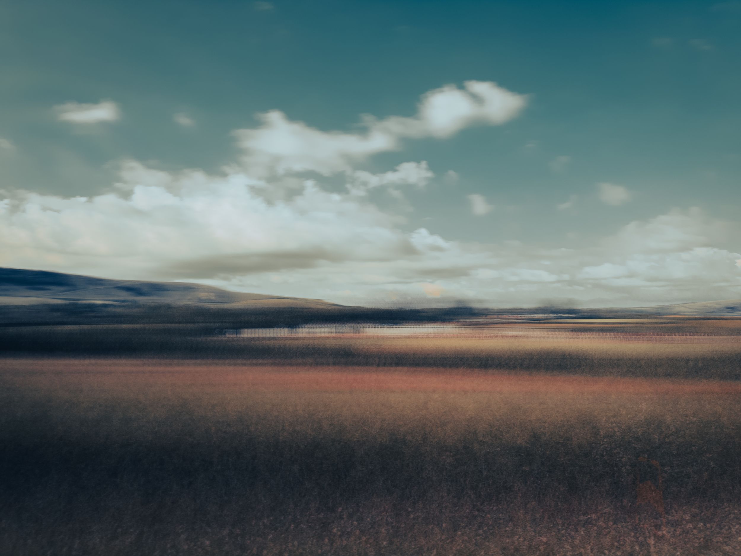 Poppies by Stephen Mortimer — YouPic