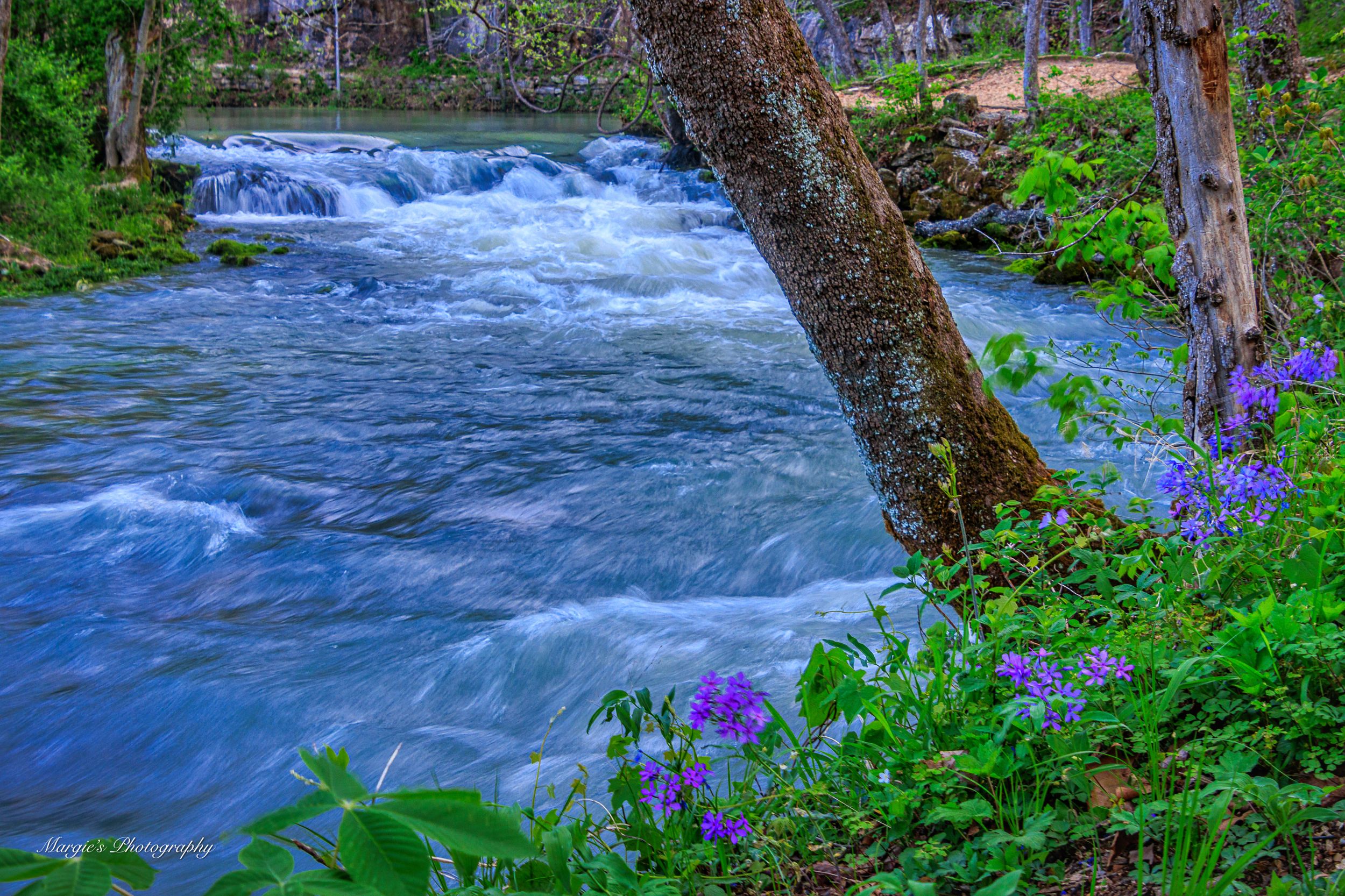 Alley Spring in Spring by Margie Troyer — YouPic