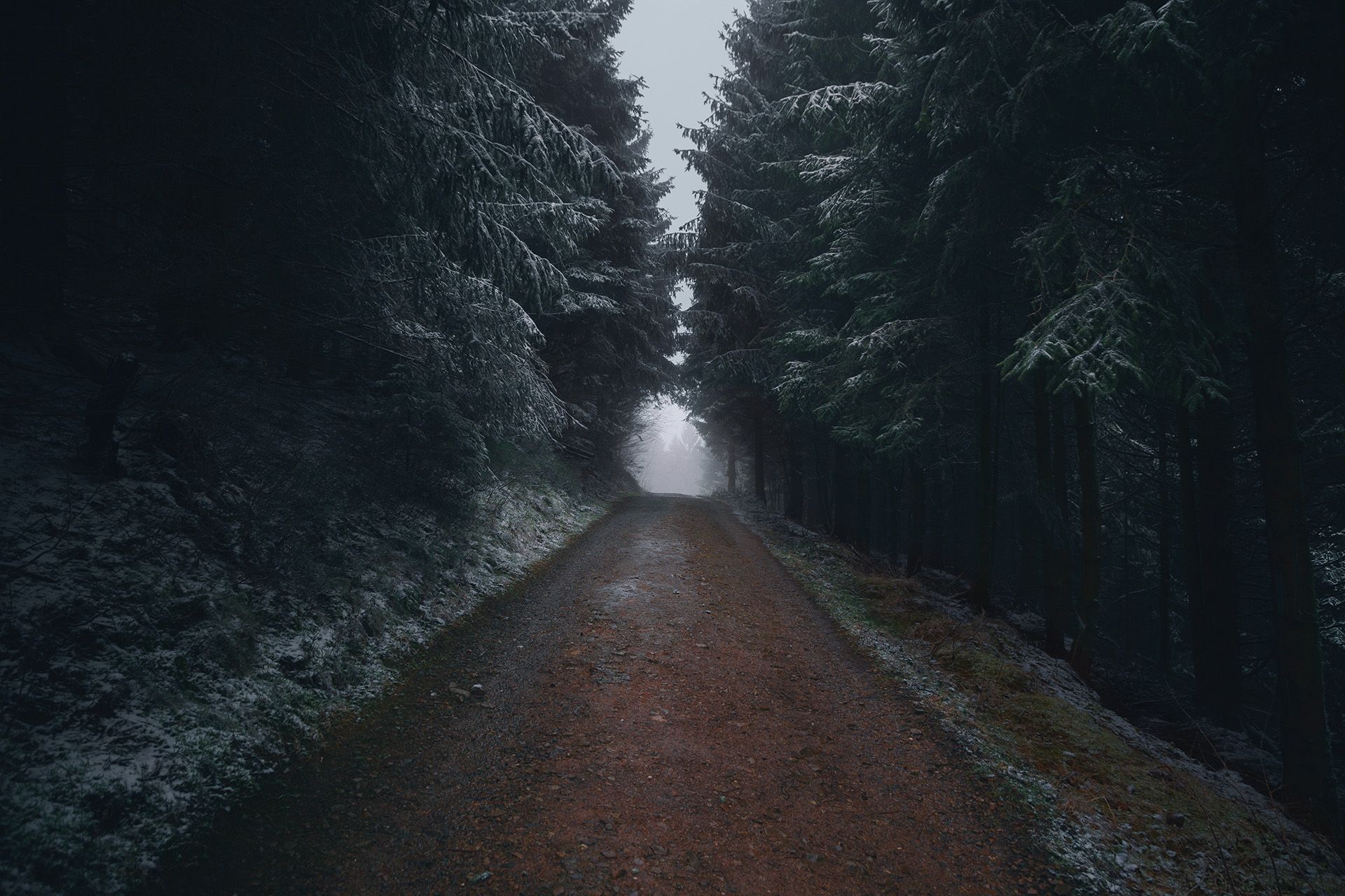 The Dark Path by Fenriswolf Fotografie — YouPic