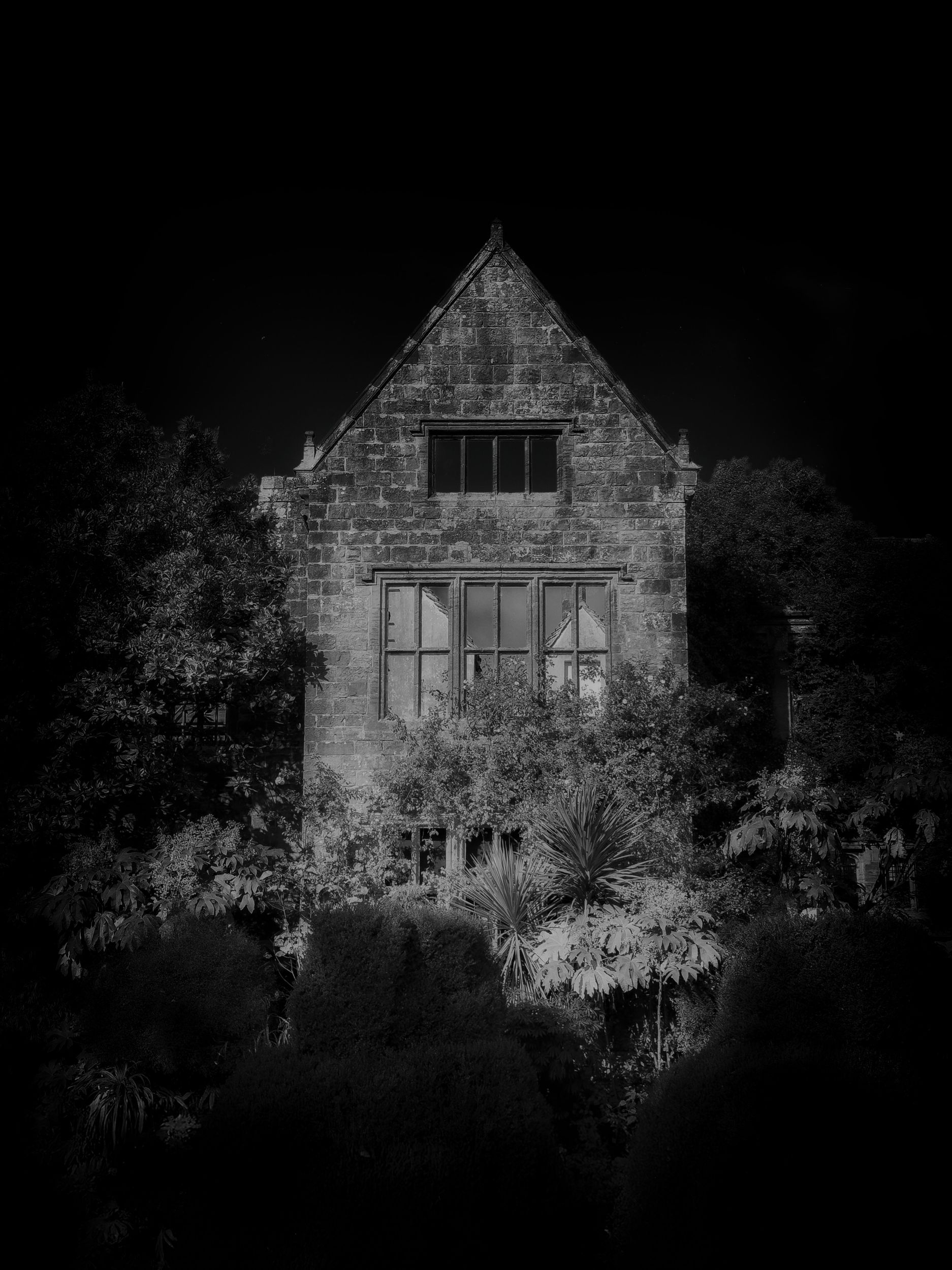 Nymans III by Stephen Mortimer — YouPic