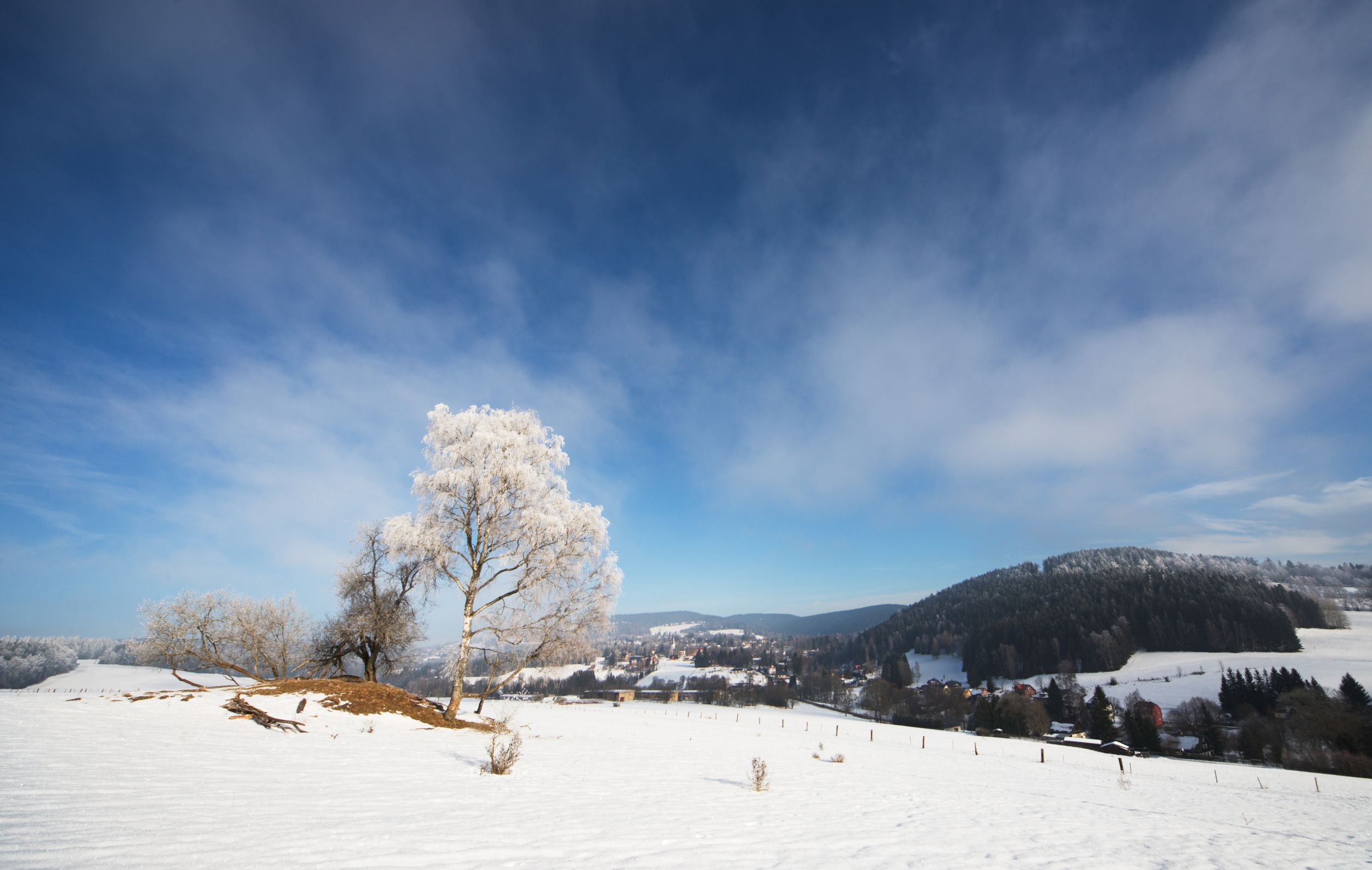 Untitled by Holmar — YouPic