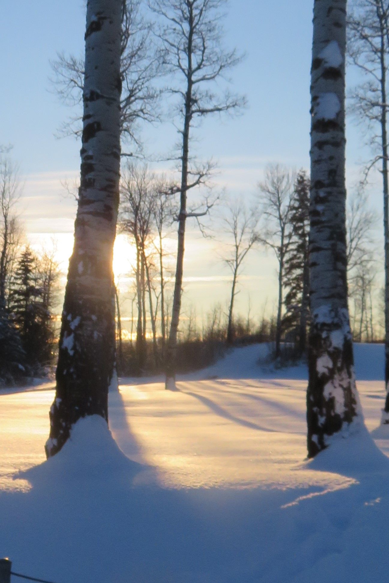 IMG_0101 by susan soderstrom — YouPic