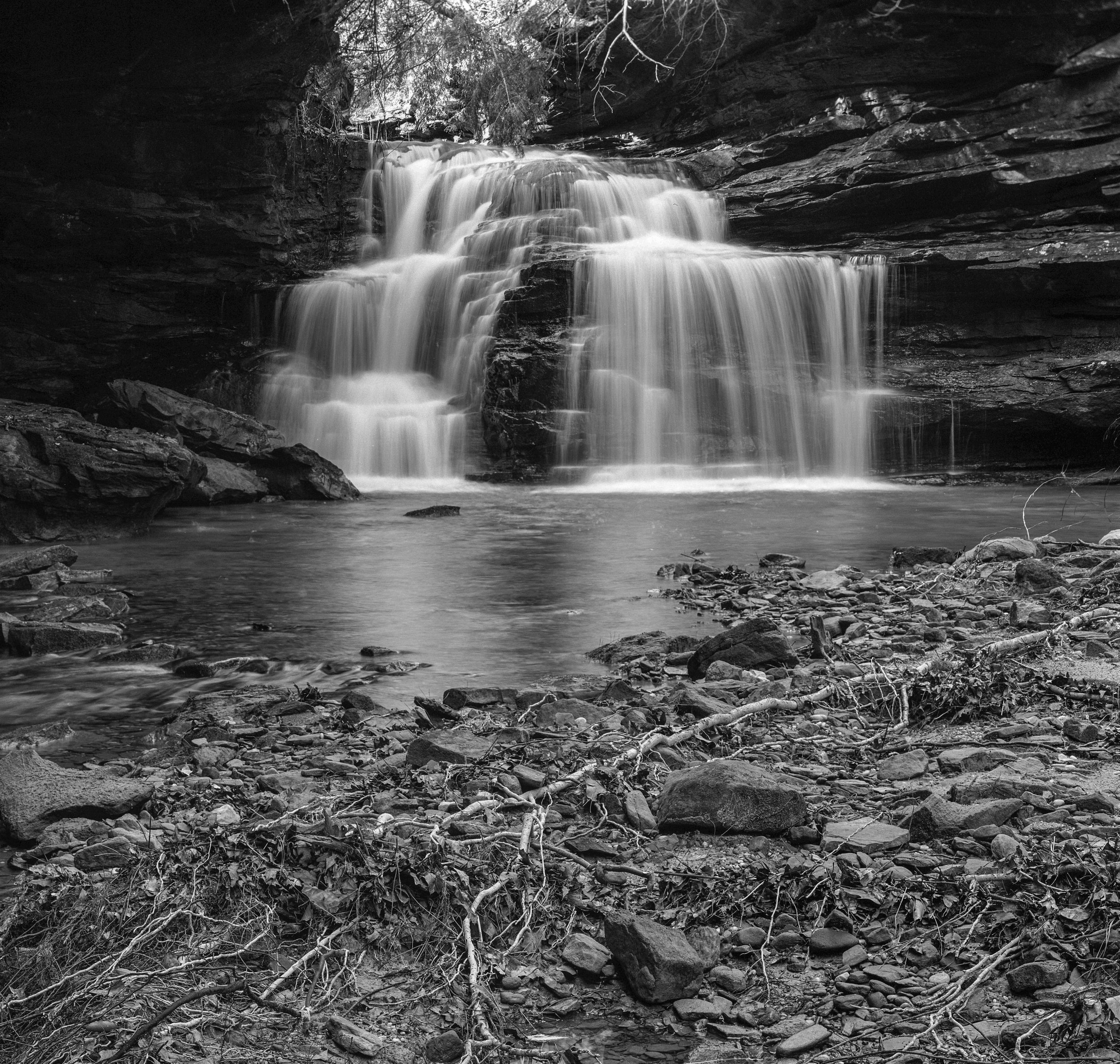 Sipsey Wilderness, Alabama by Alexander VanHaven — YouPic