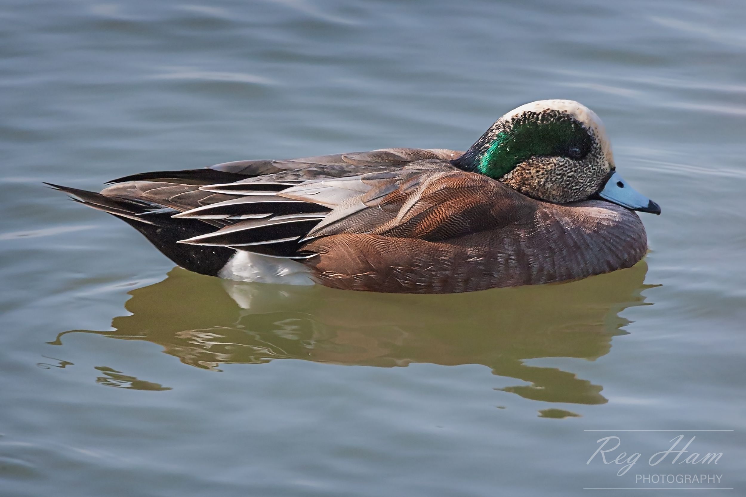 Floating by Reg Ham — YouPic