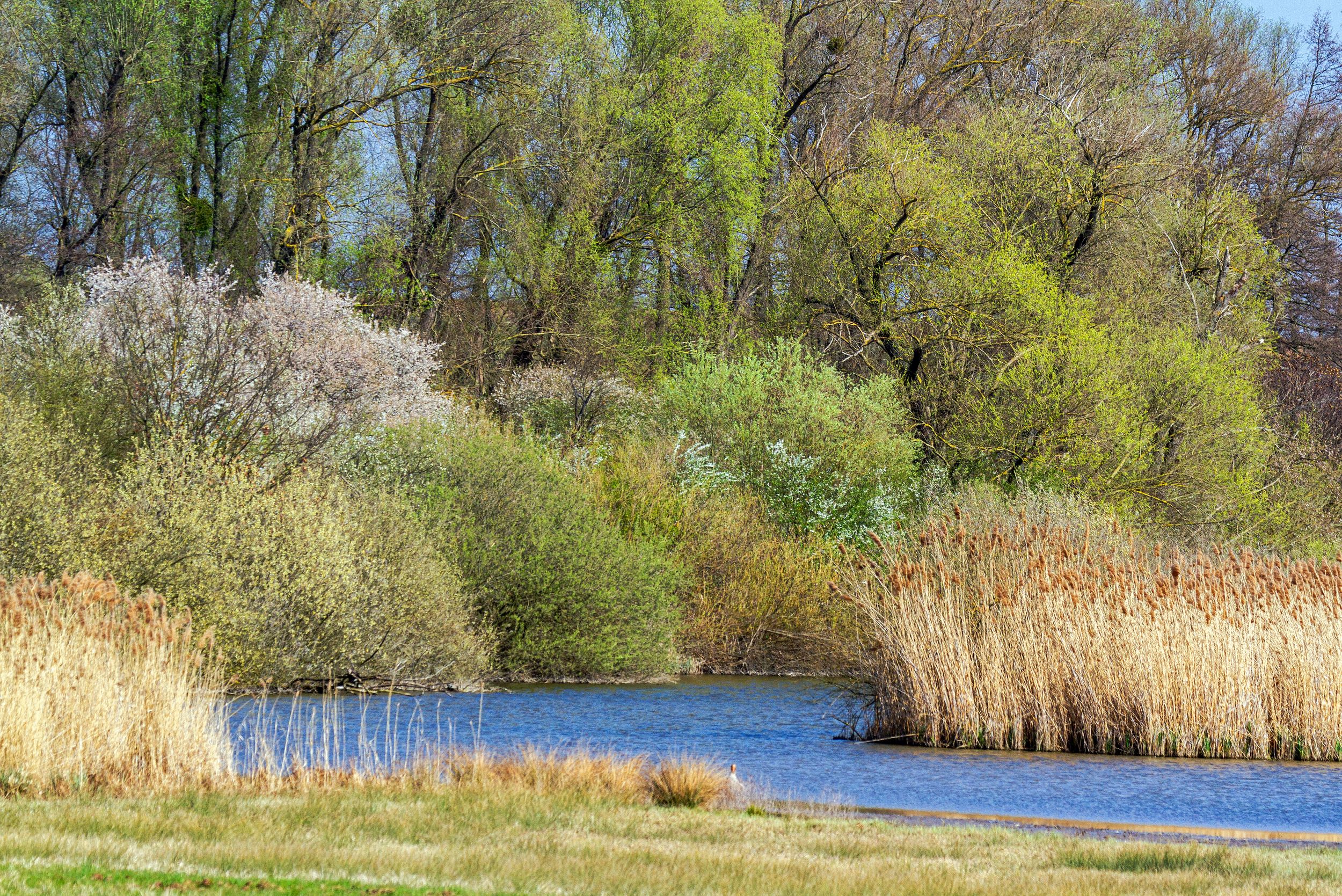 Springtime on the lake by karlvock — YouPic