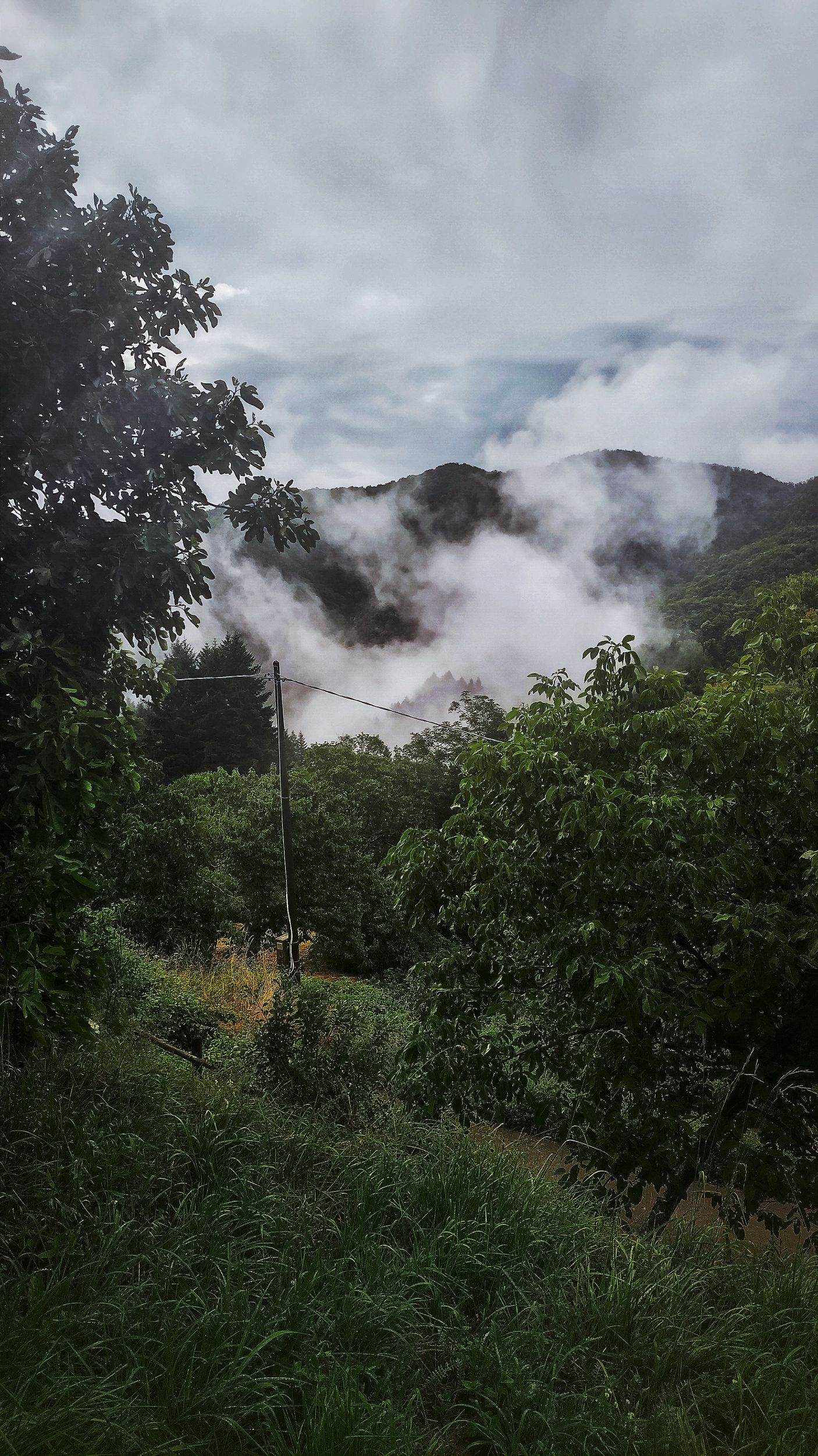 Early morning rain clouds by NomadicFox Photo — YouPic