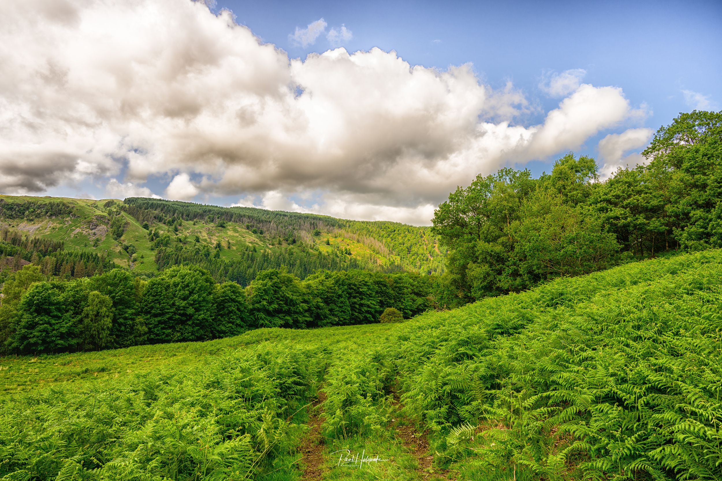 Fellscape by Photon — YouPic