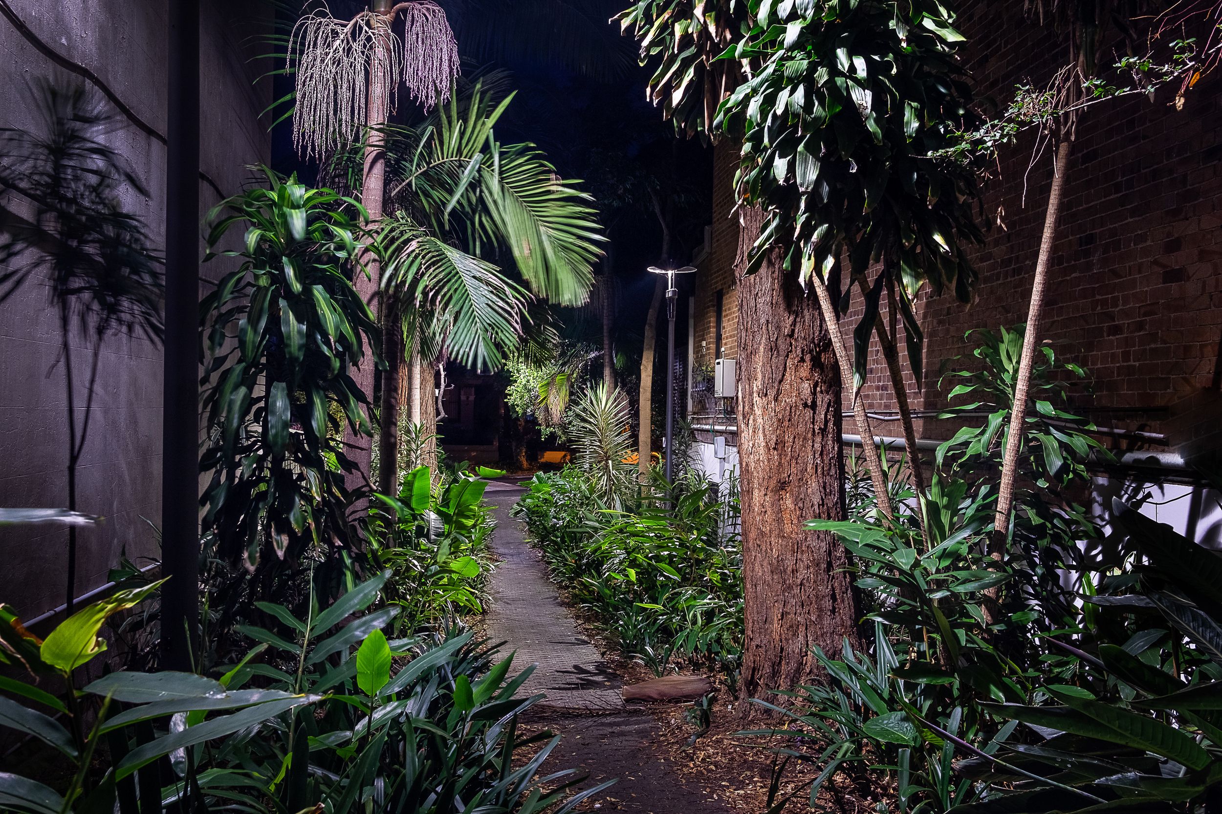 Garden by Tim Ritchie — YouPic