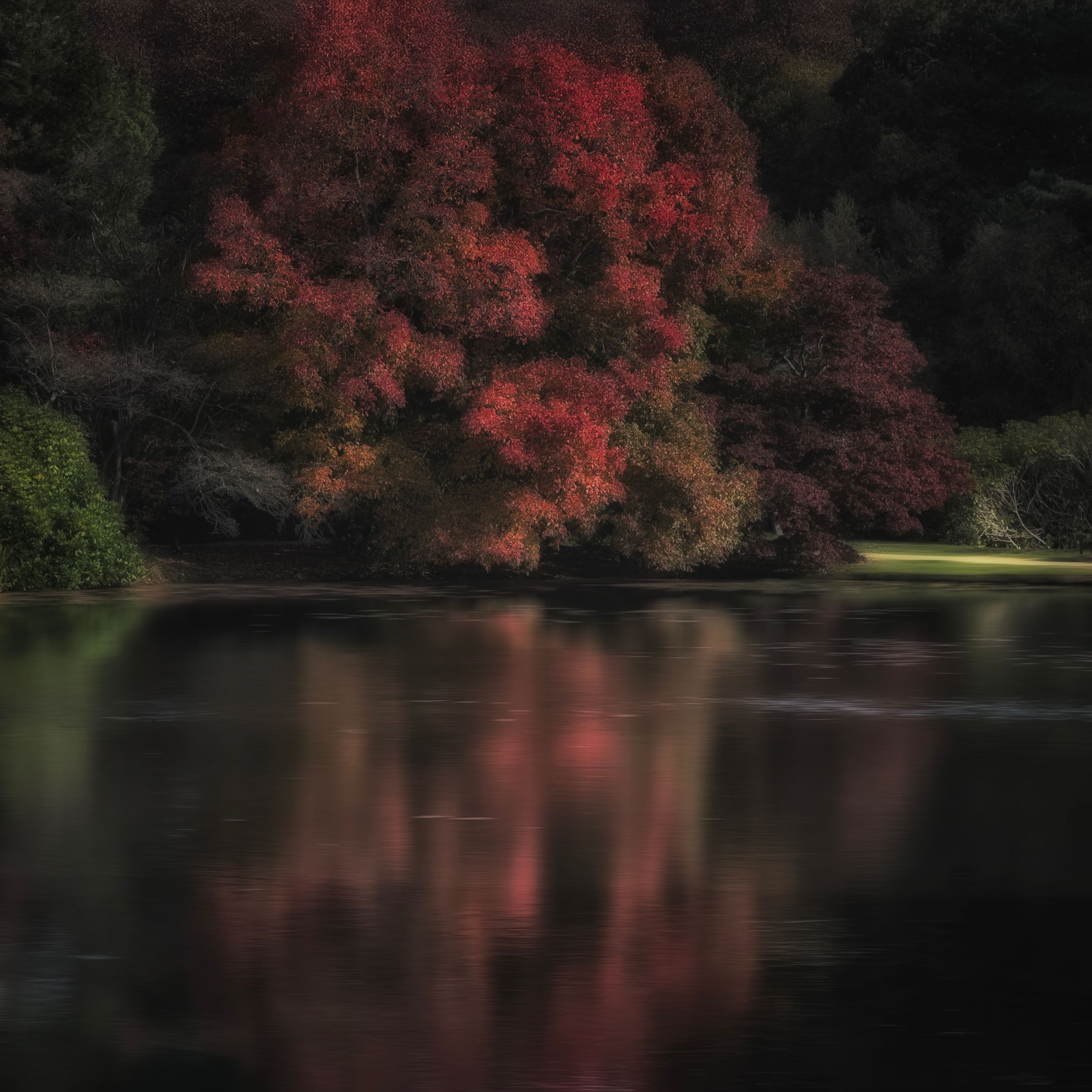 Autumn by the Lake II by Stephen Mortimer — YouPic