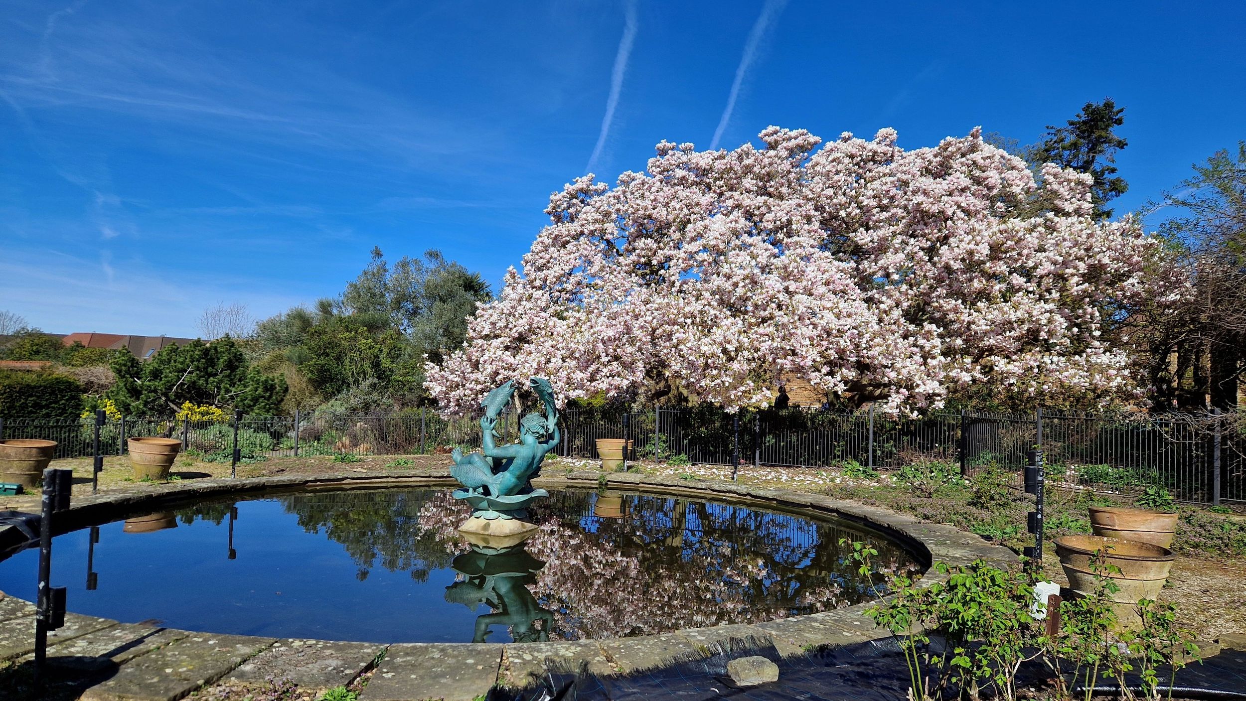 Spring by Robb — YouPic