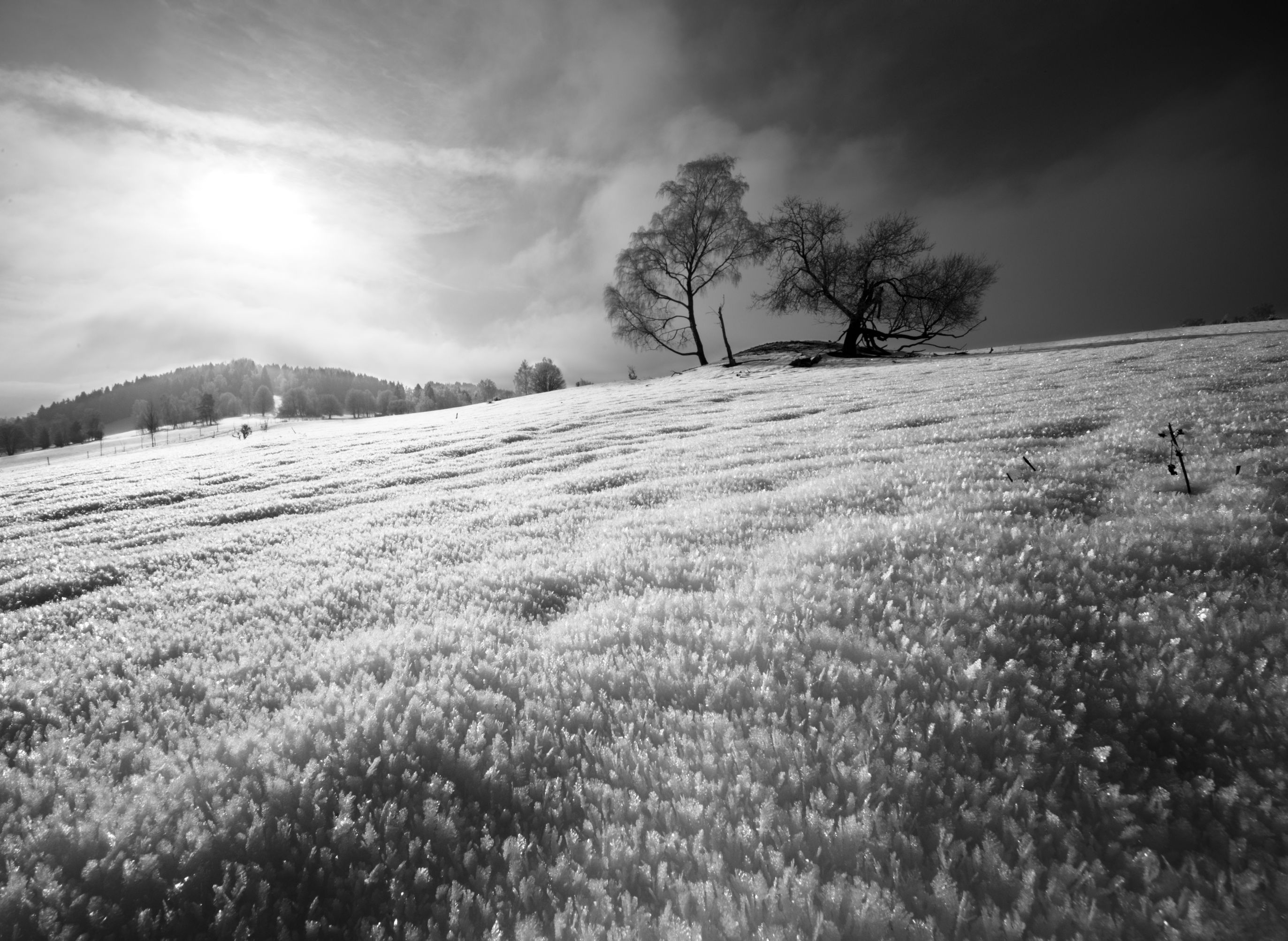 Untitled by Holmar — YouPic