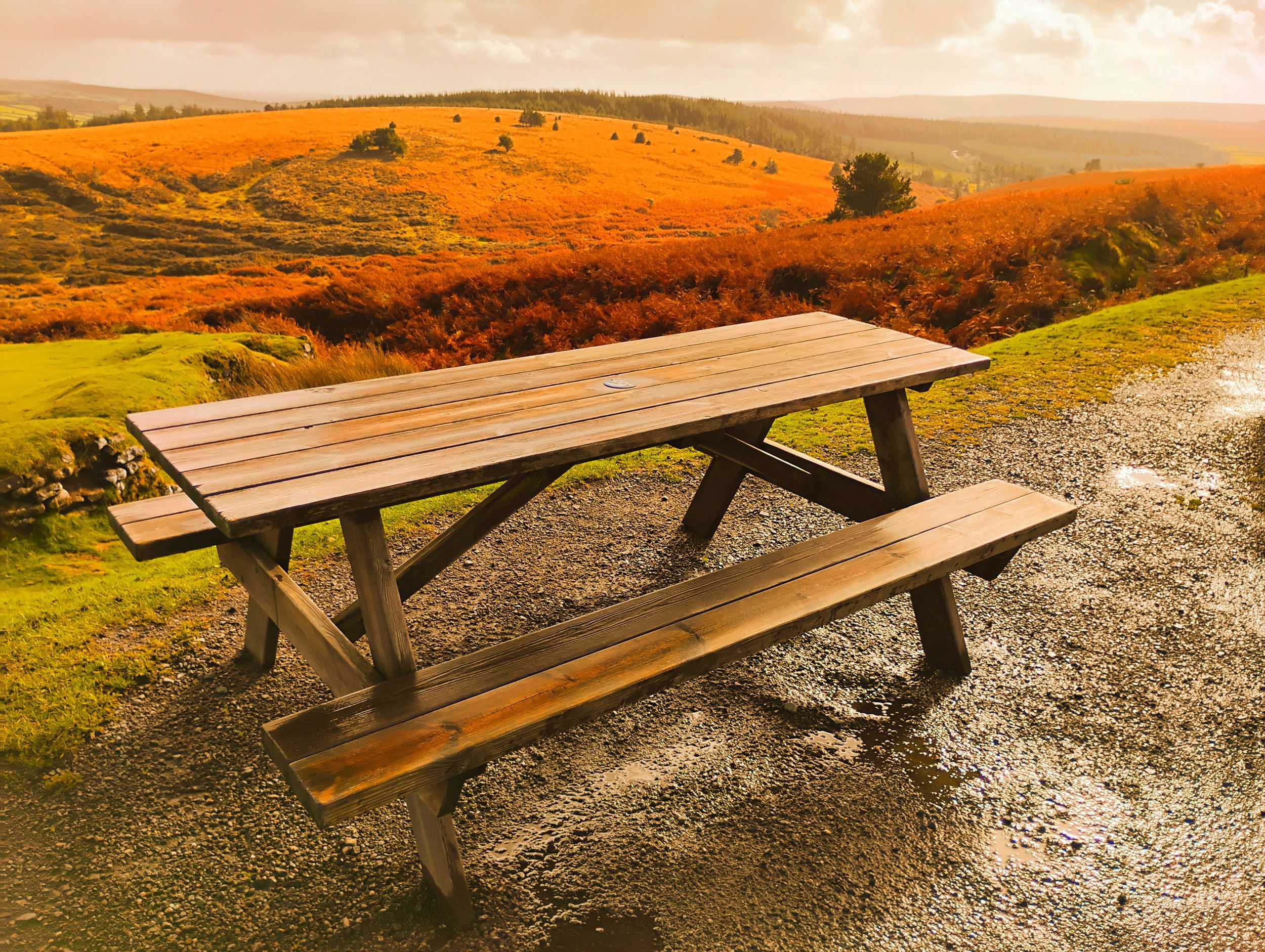 Bench Veiw by artist remraf — YouPic
