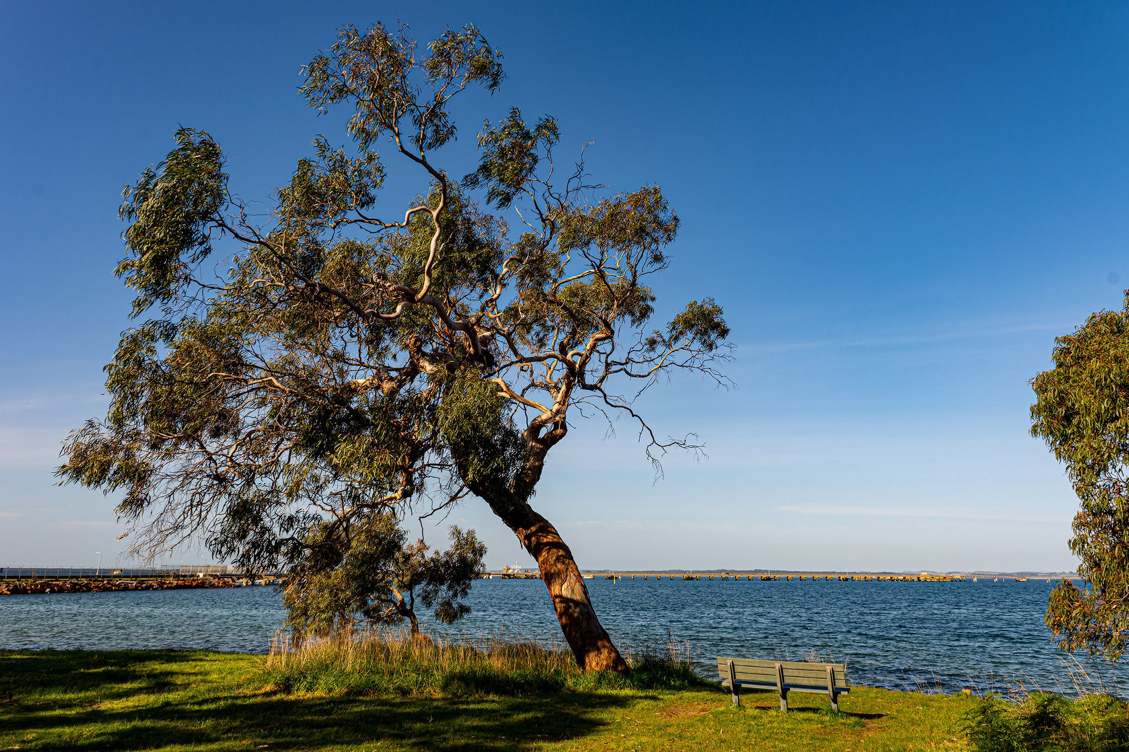 CRIB POINT by Roger Gould — YouPic