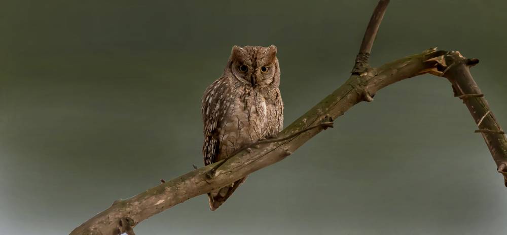 Martin Roper - Photographer - YouPic