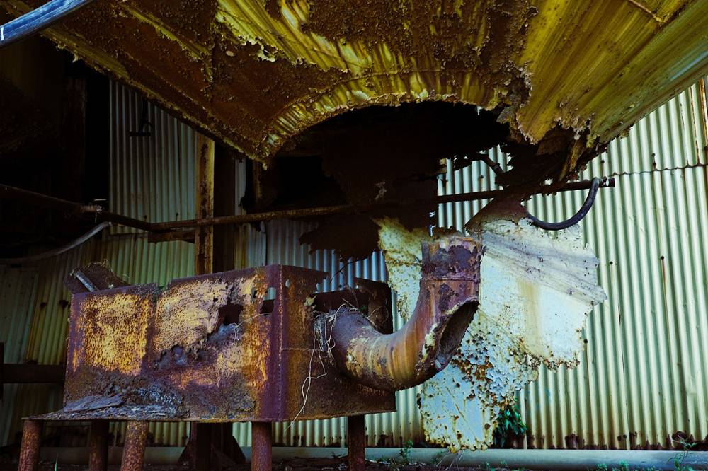 Rust animal by Travis Black on YouPic
