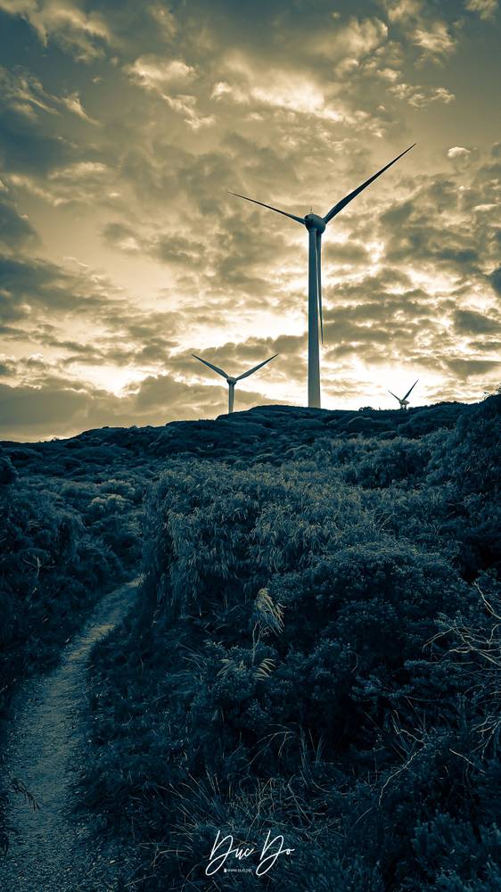 Photo in Landscape #wind #turbine #farm #energy #renewable #bush #trail