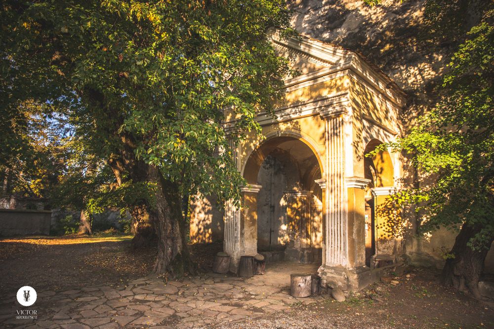 Photo in Rural #architecture #cincu #brasov #fortified church #biserica fortificata #summer #entrance #tree