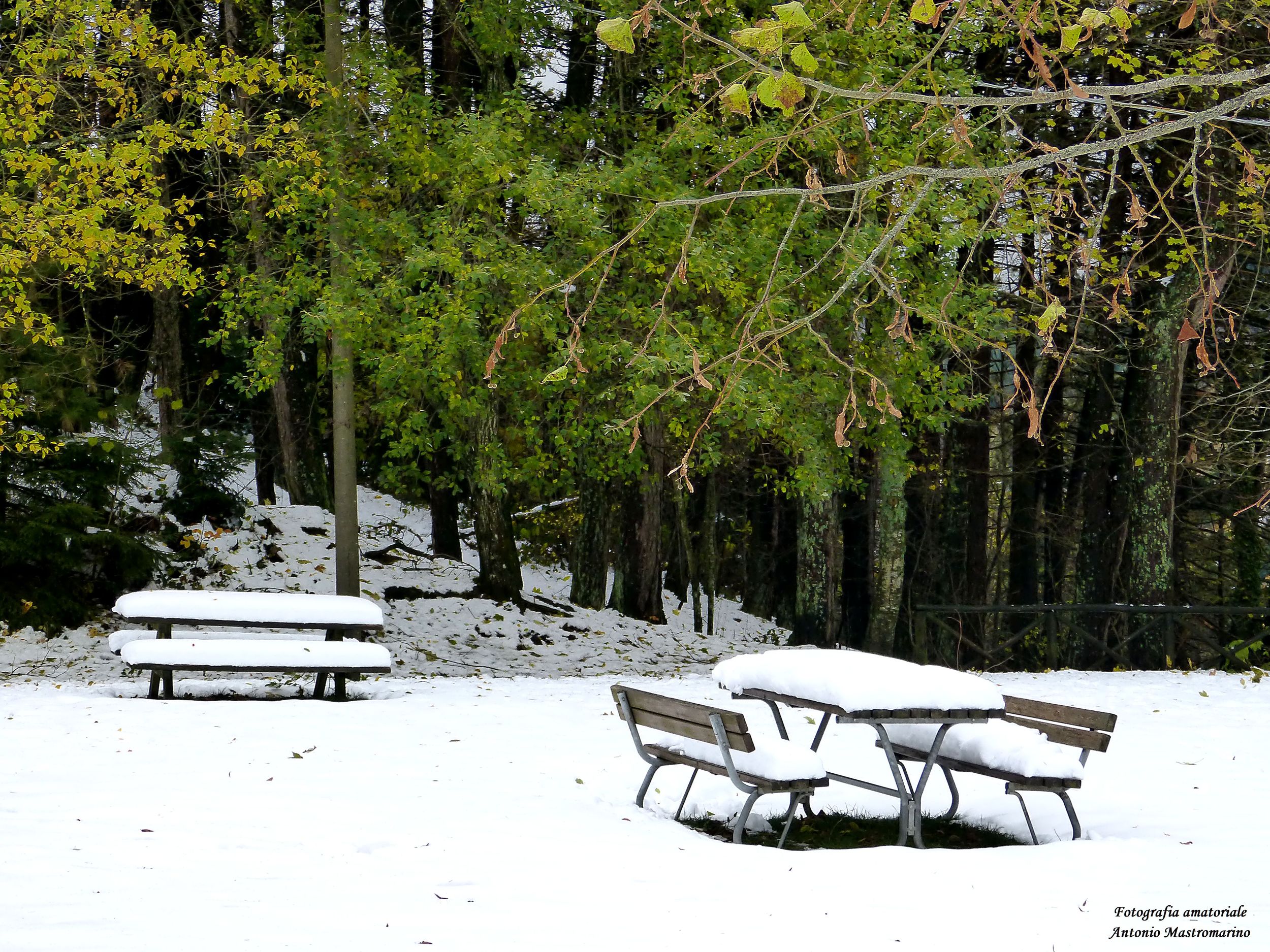 neve by photographer_73 on YouPic