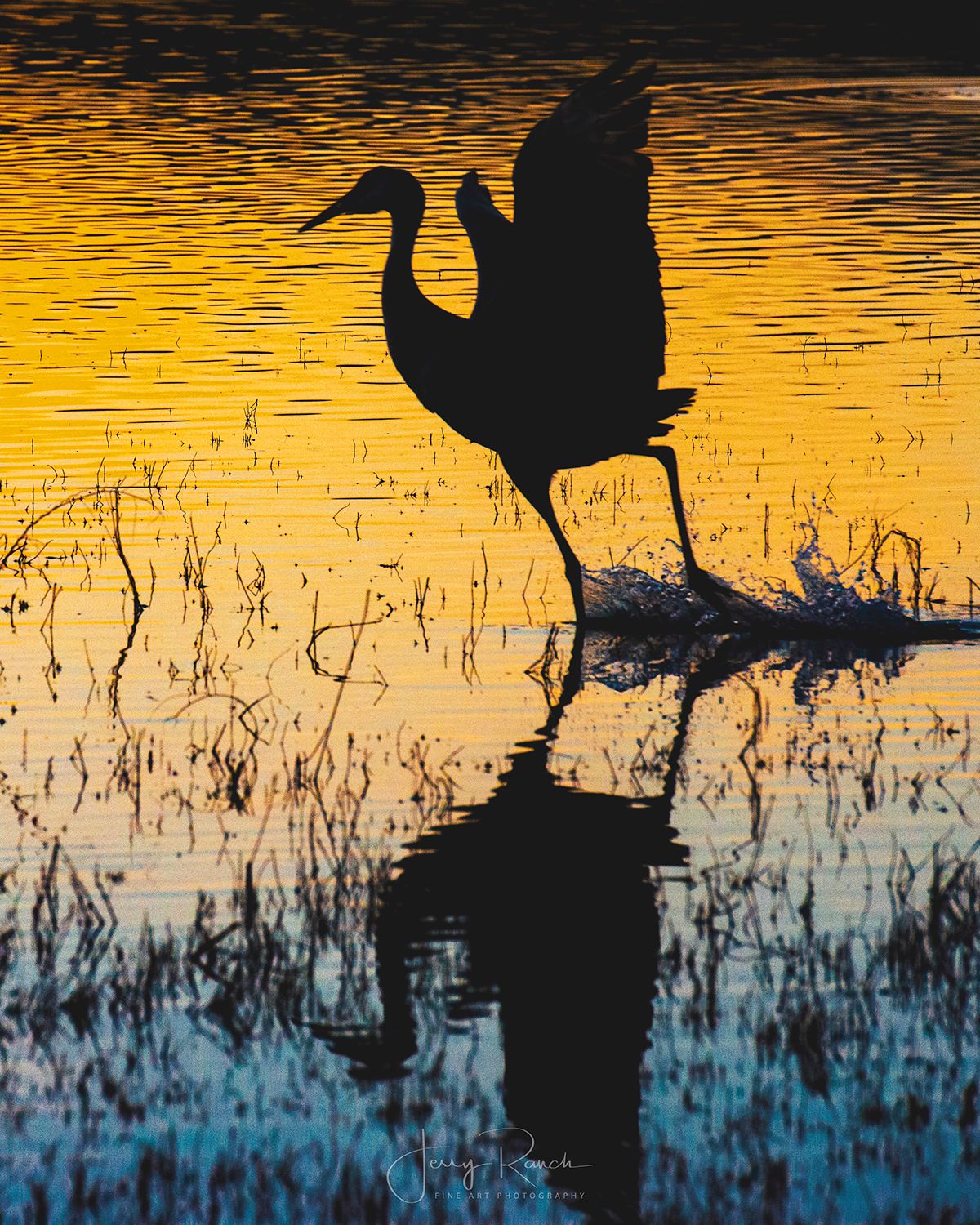 Walk On Water by Jerry Ranch on YouPic