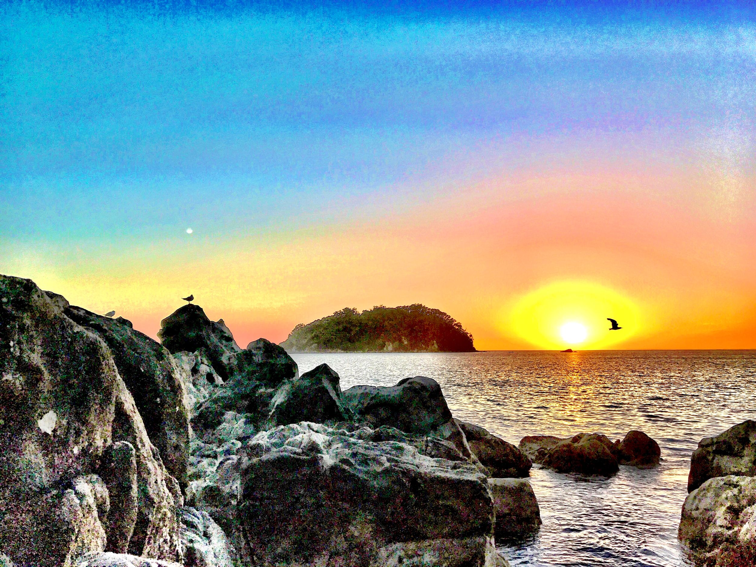 Sunflight by karlteichmann on YouPic