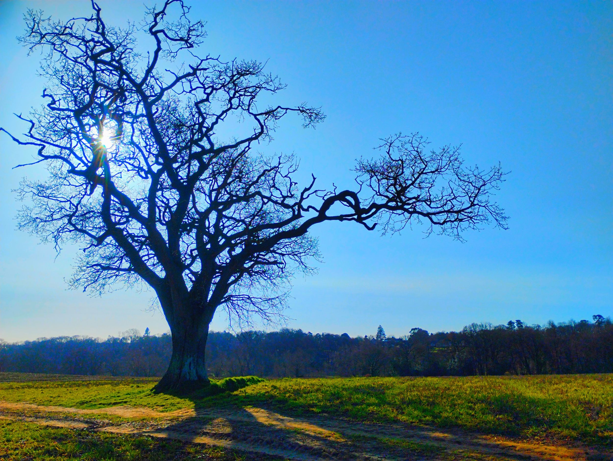 Big Blue Sky by artist remraf on YouPic