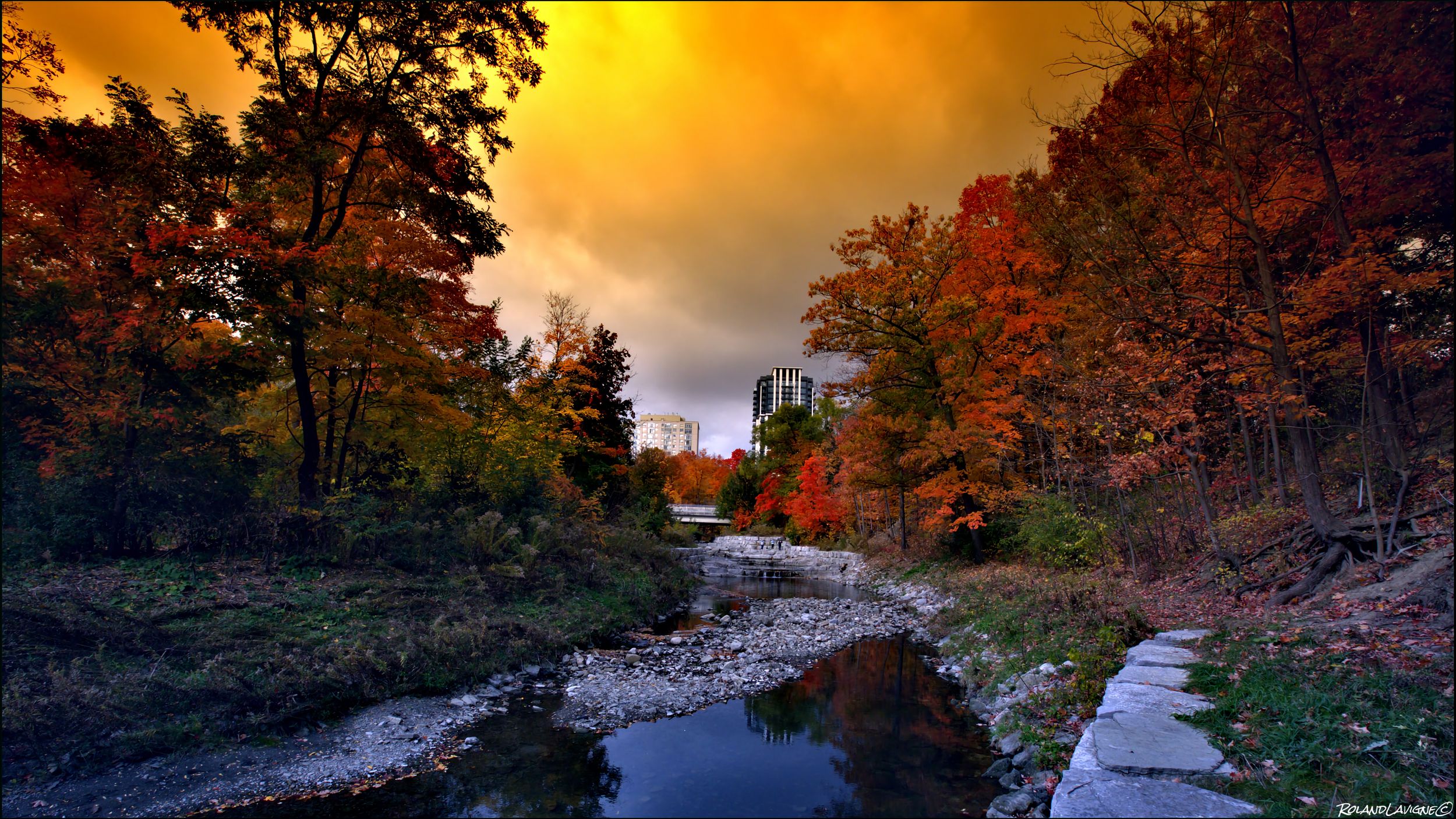 Fall in vivid color by Roland Lavigne on YouPic