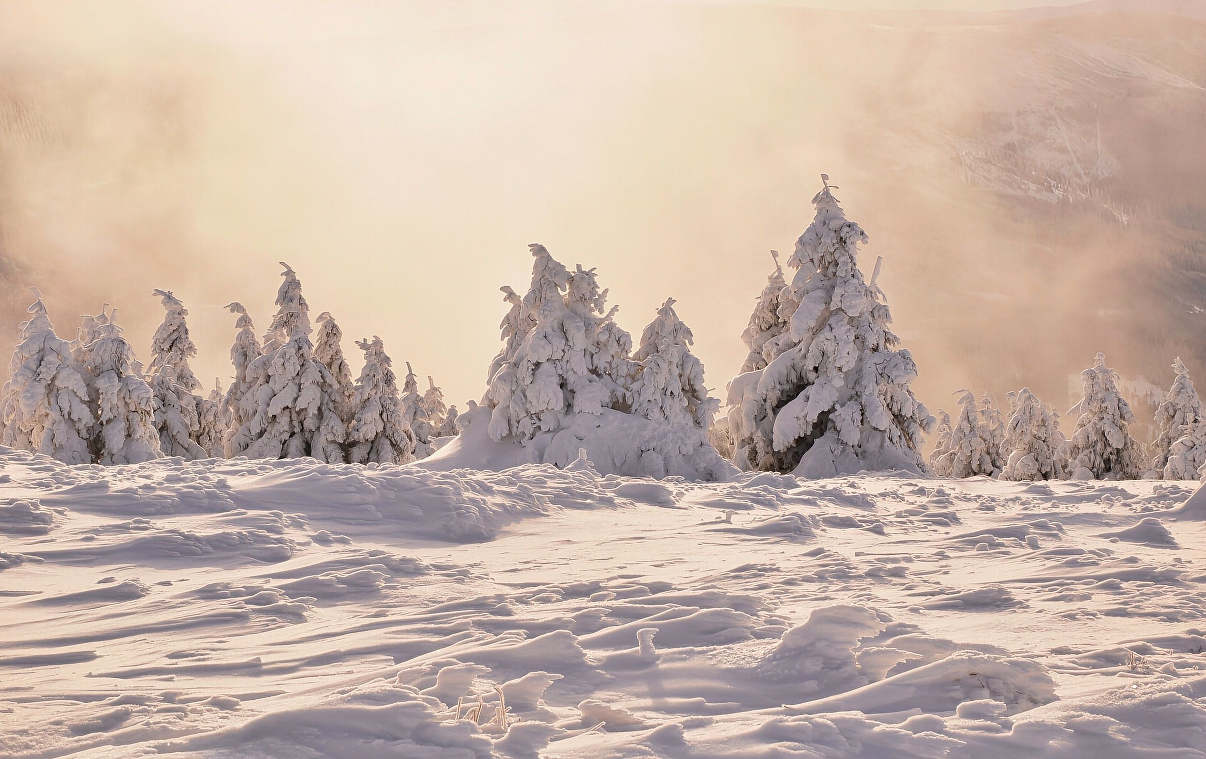 Snow sprites by Jolanta Placek on YouPic