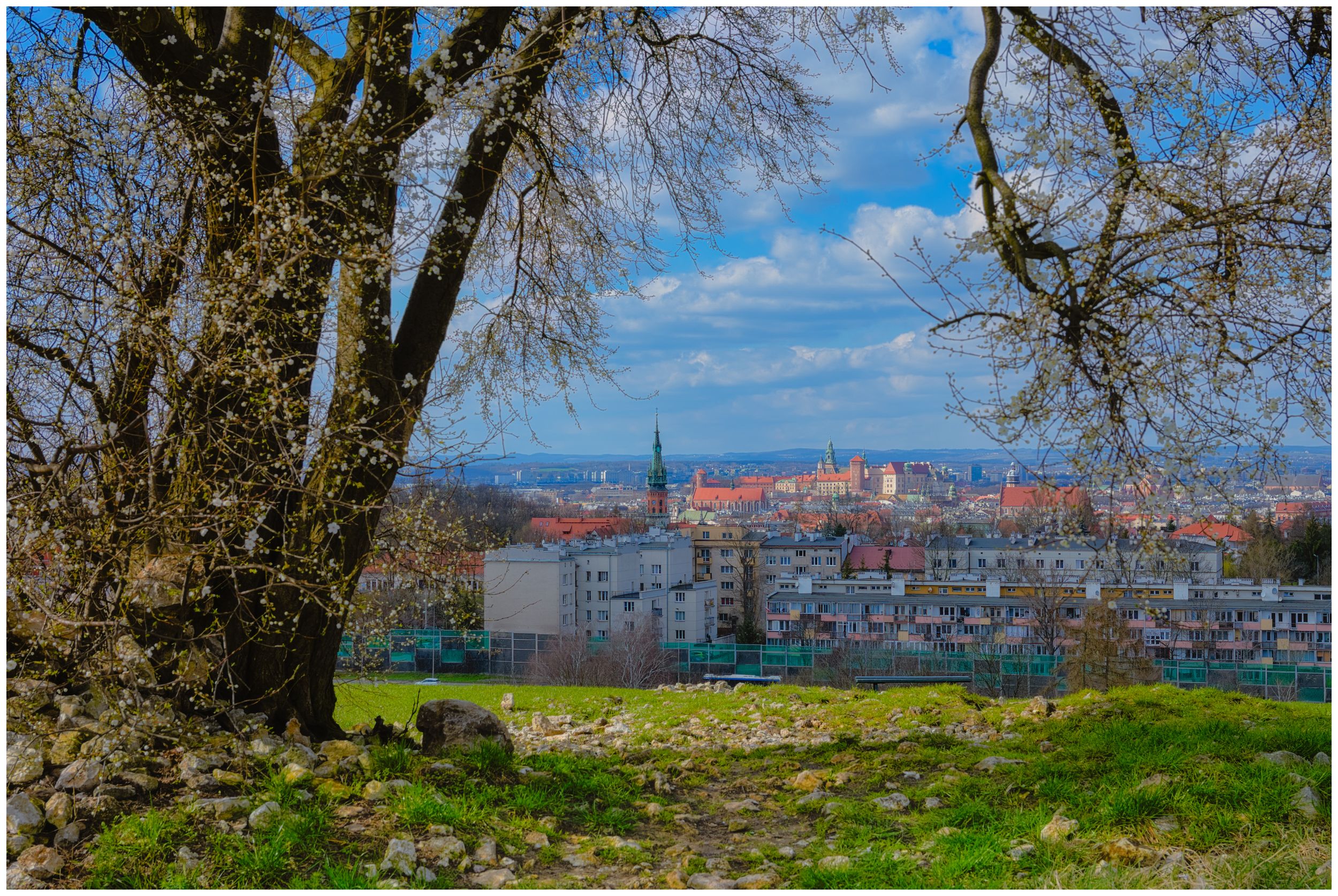 Spring in Krakow by Jarek on YouPic