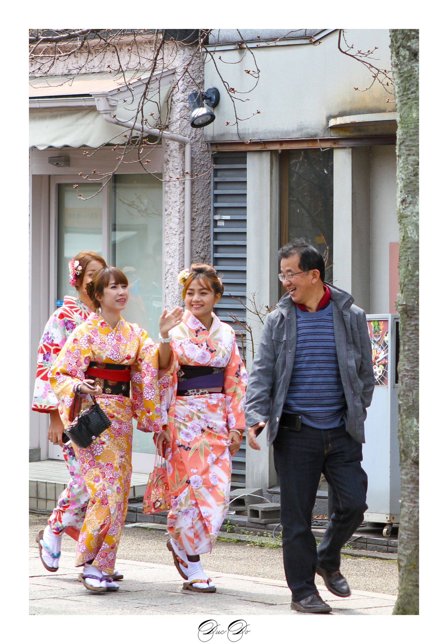 the joy of hanami by D.studio on YouPic