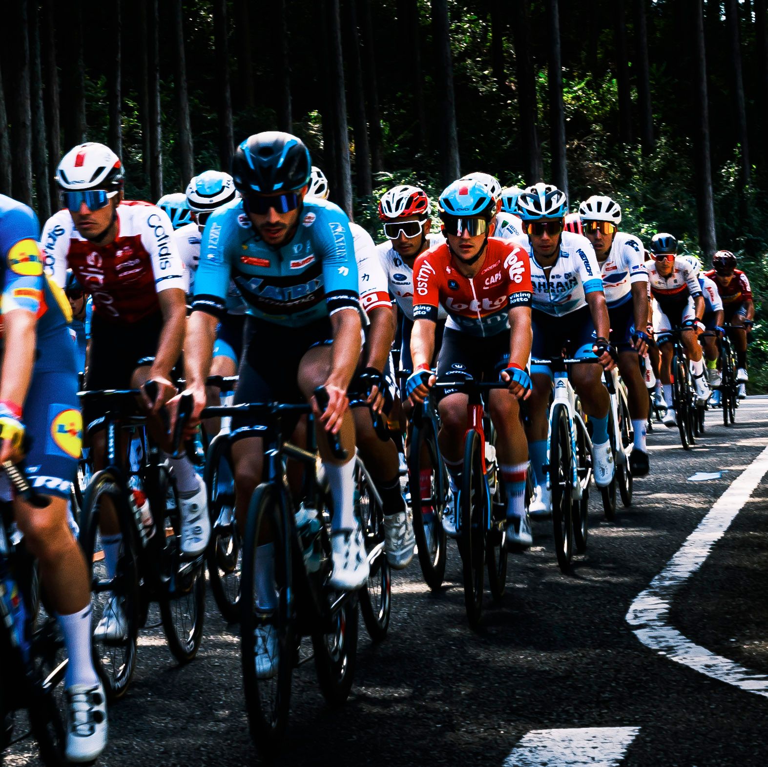 japan cup cycle road race by Takao Okuyama on YouPic