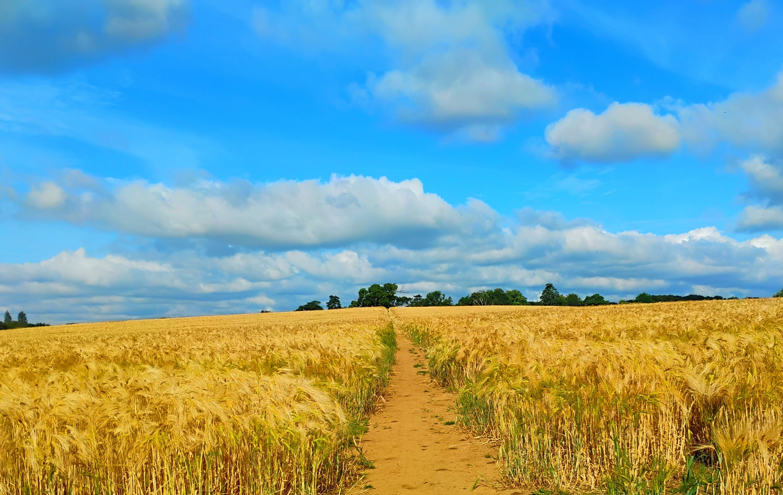Suffolk Summer 2024 by artist remraf on YouPic