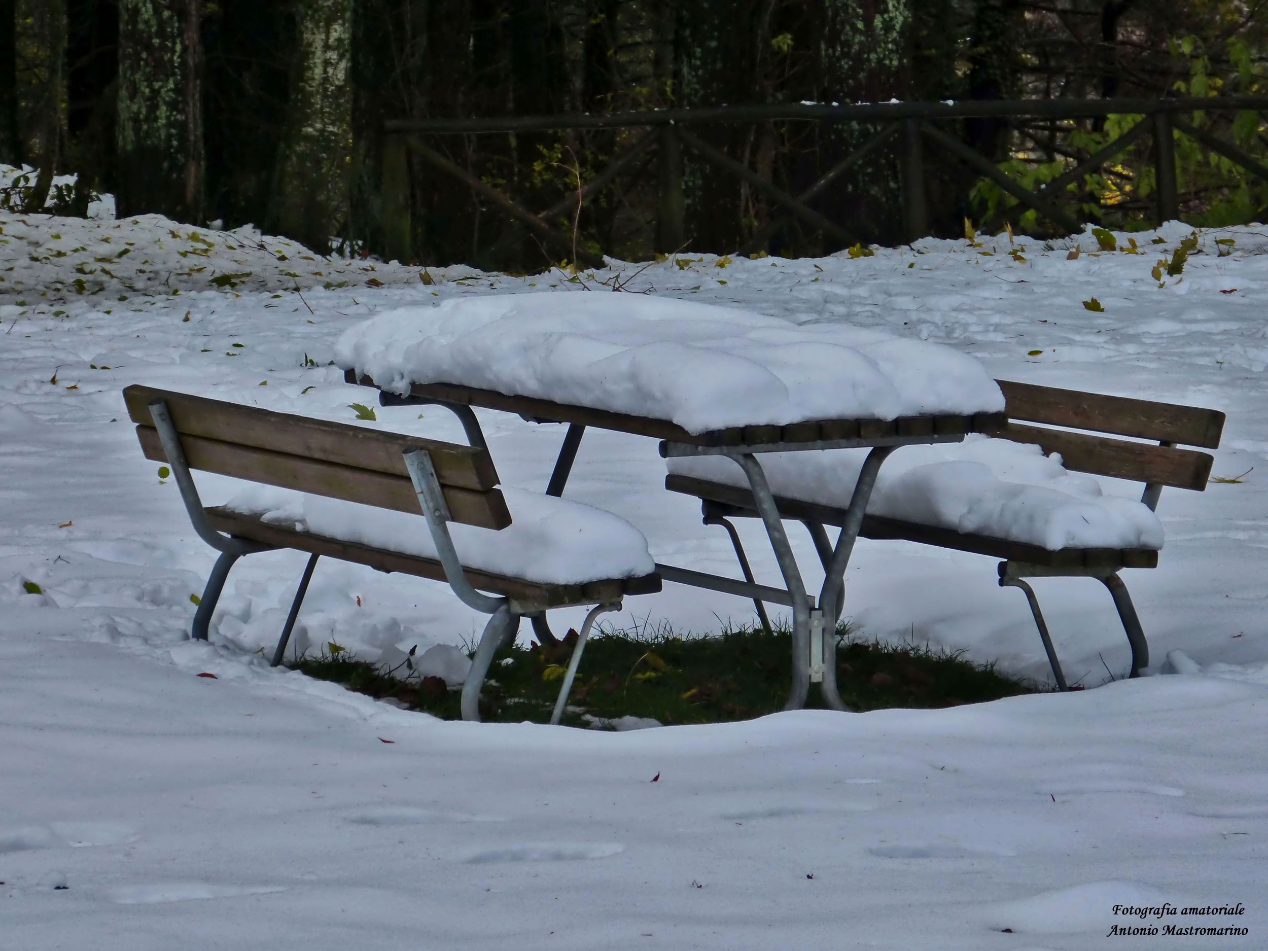 neve by photographer_73 on YouPic