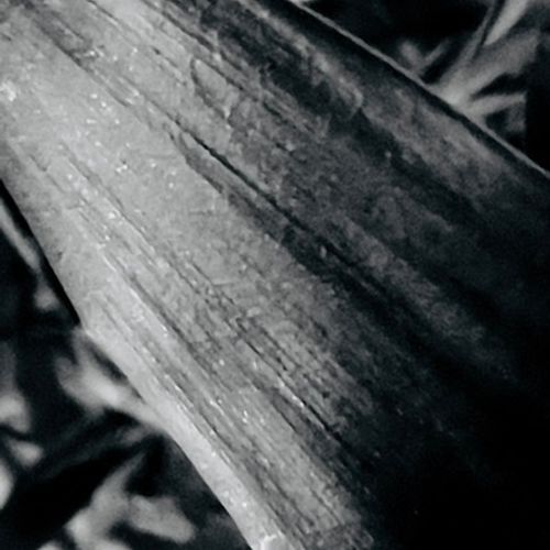 YouPic profile picture for @objects