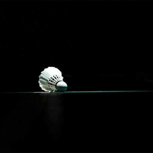 YouPic profile picture for @badminton