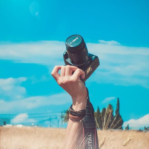 YouPic profile picture for @majesty